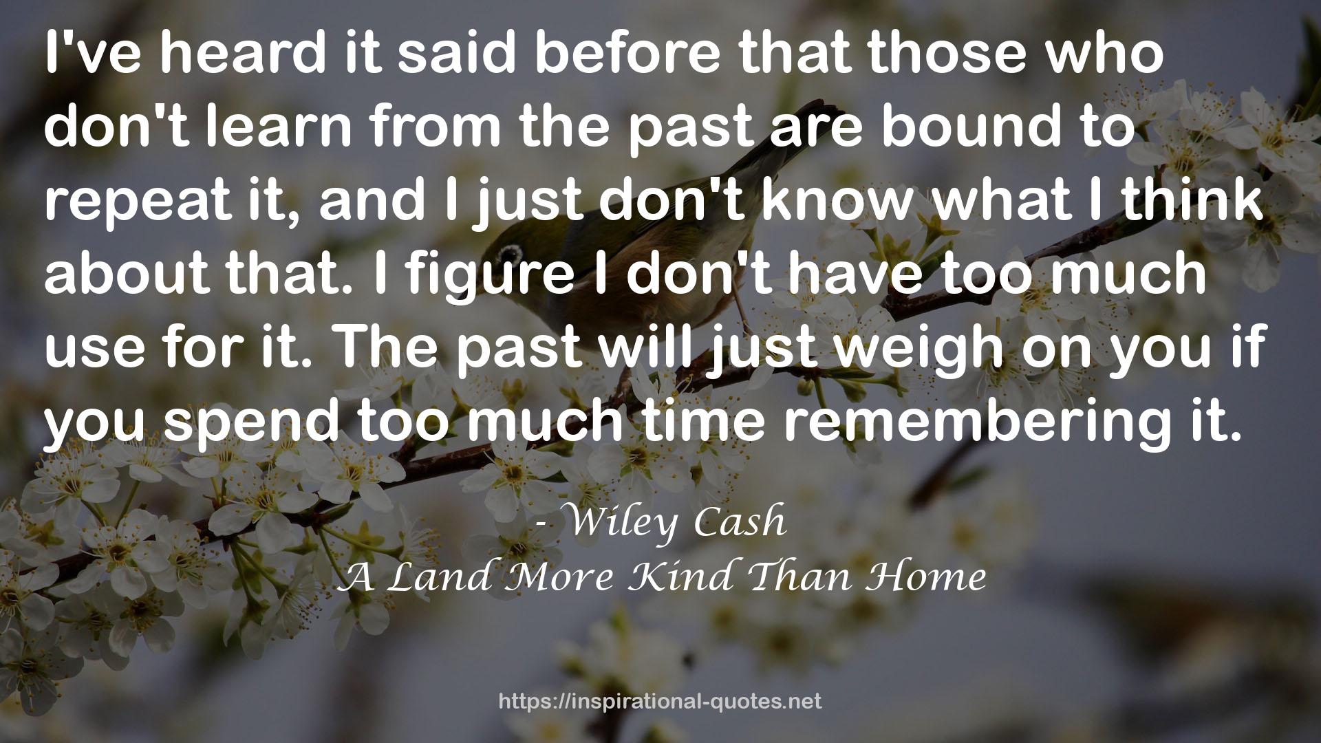 A Land More Kind Than Home QUOTES