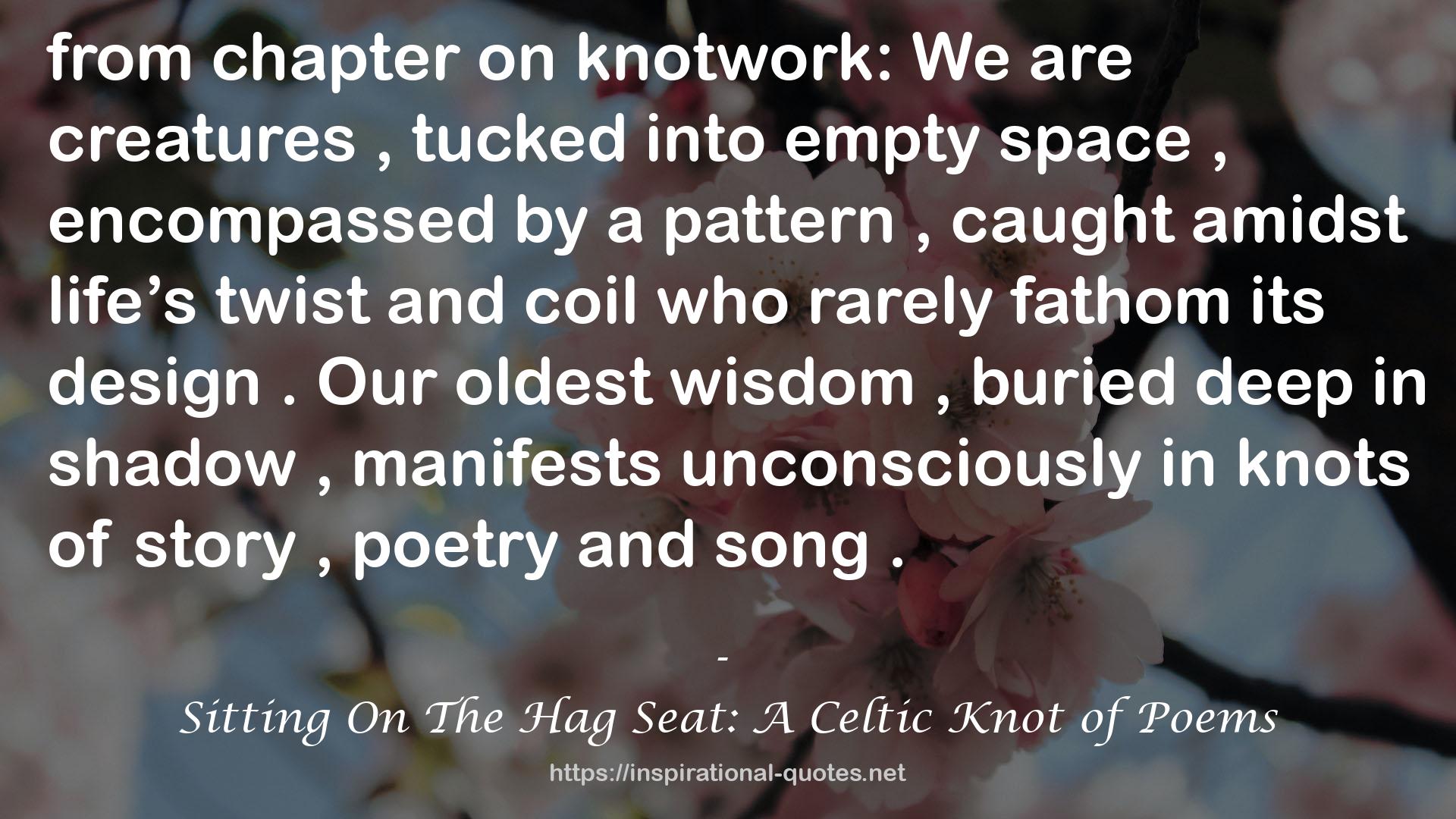 Sitting On The Hag Seat: A Celtic Knot of Poems QUOTES