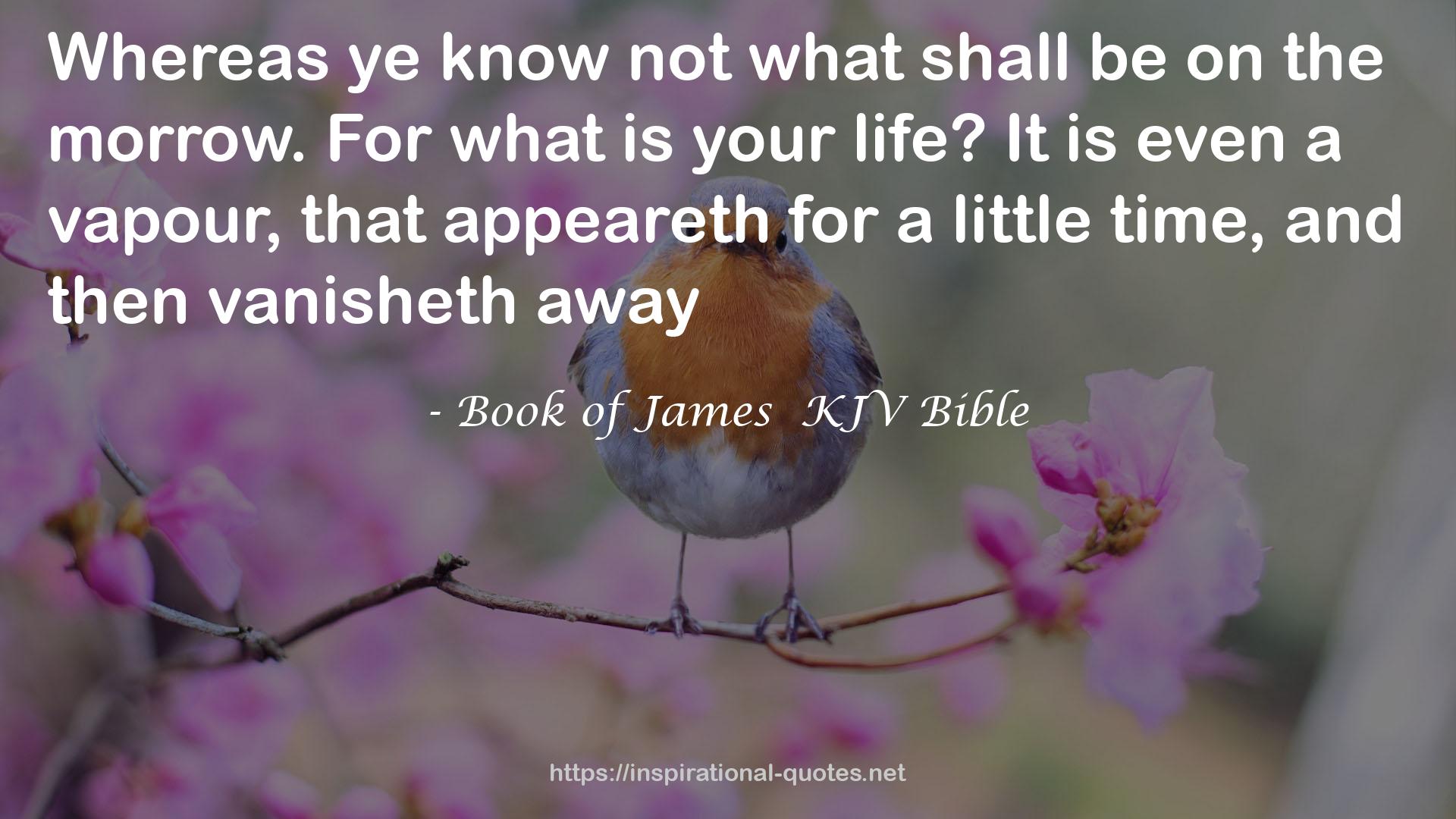 Book of James  KJV Bible QUOTES