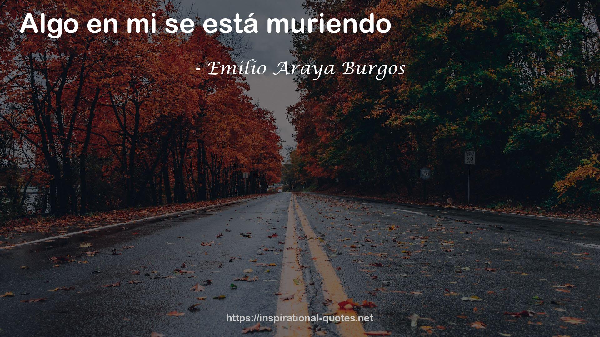 Emilio Araya Burgos QUOTES