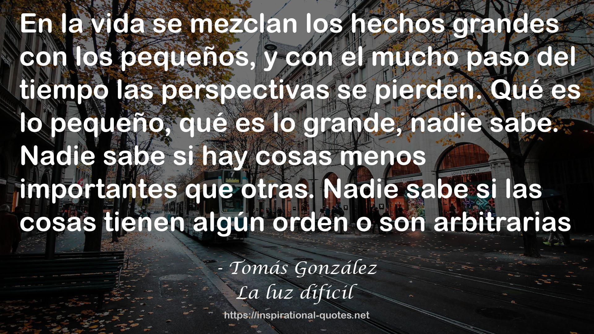 Tomás González QUOTES