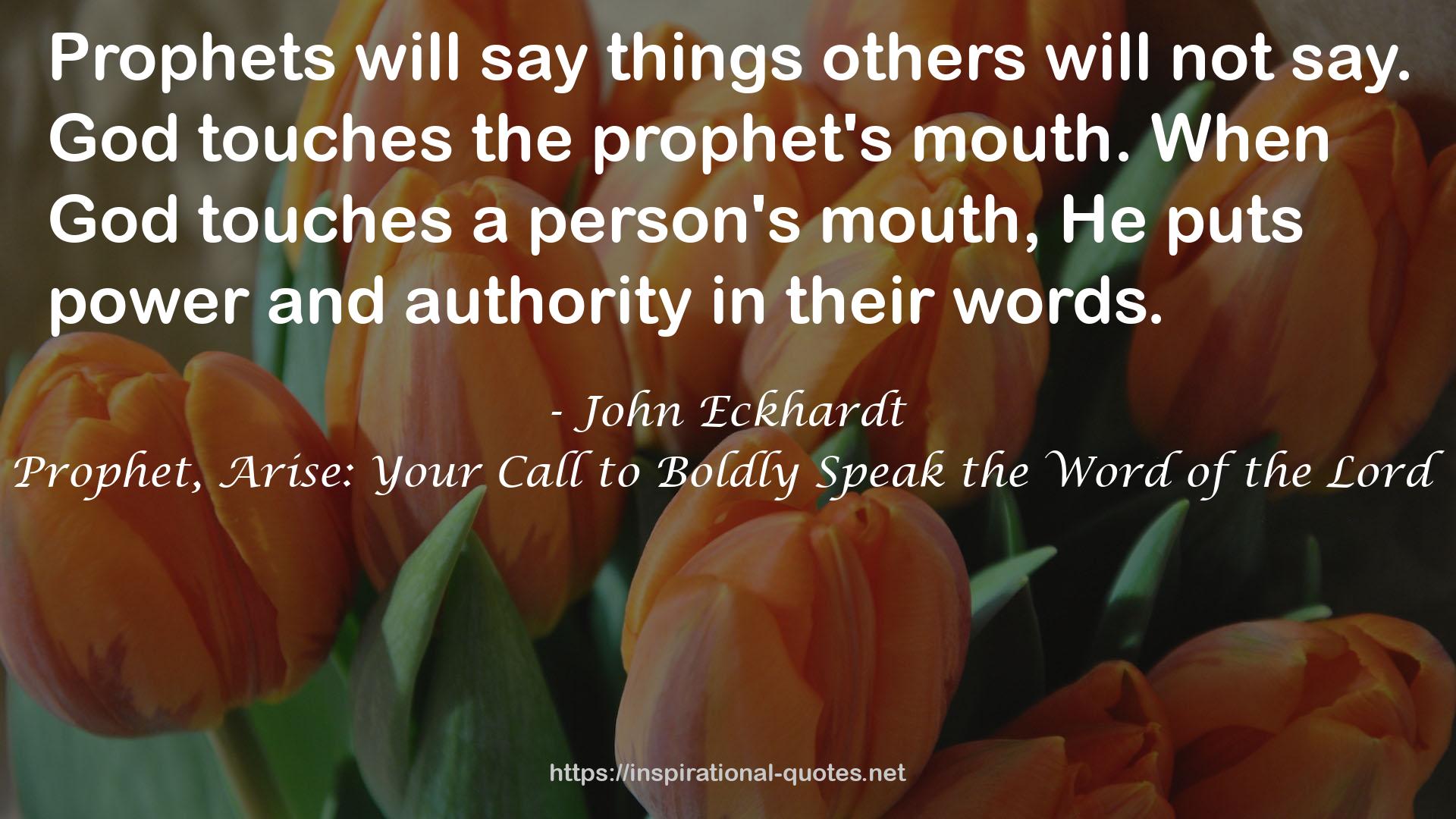 Prophet, Arise: Your Call to Boldly Speak the Word of the Lord QUOTES