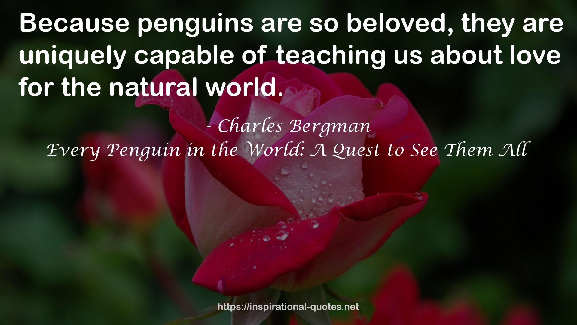 Every Penguin in the World: A Quest to See Them All QUOTES