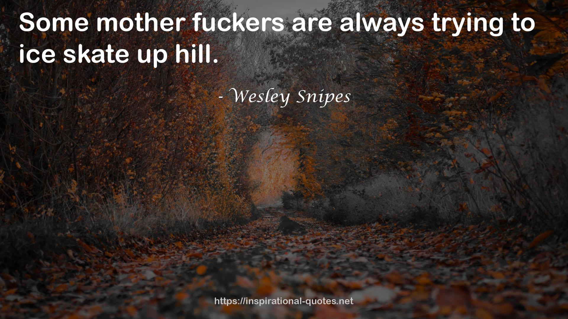 Wesley Snipes QUOTES