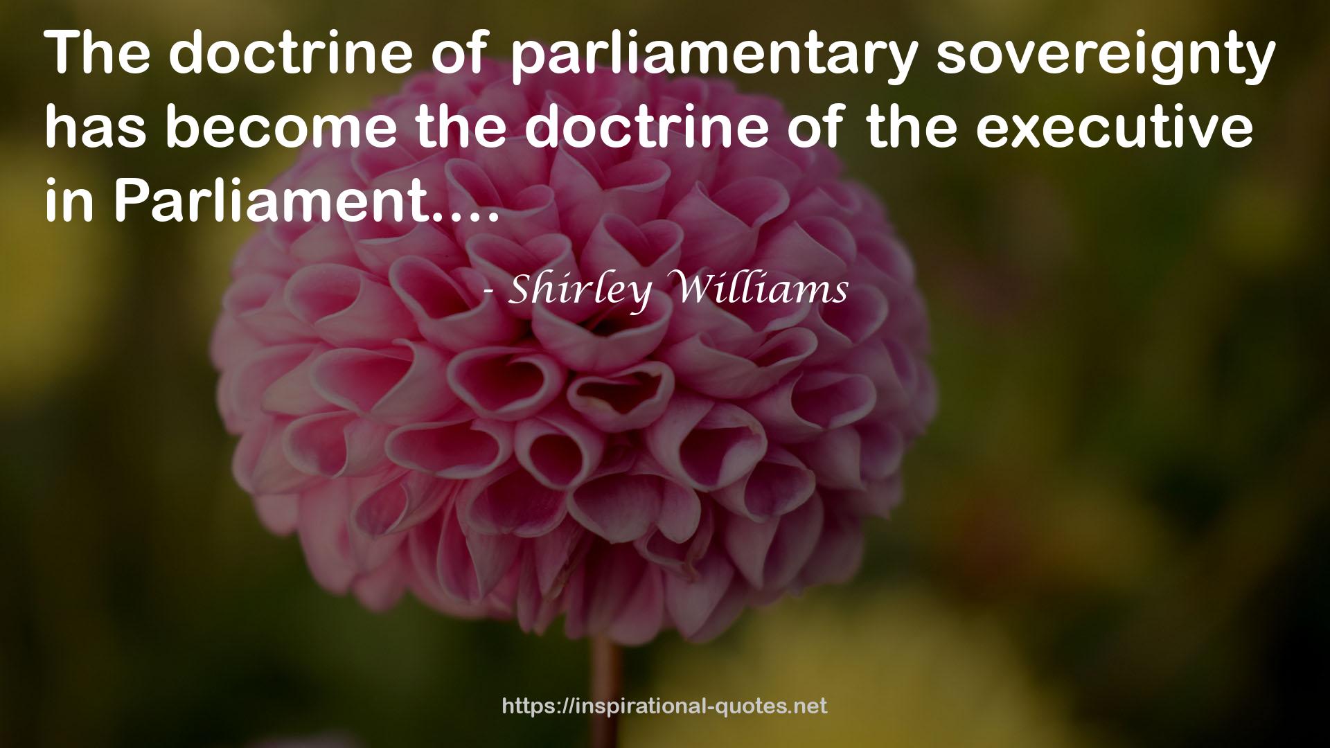 Shirley Williams QUOTES