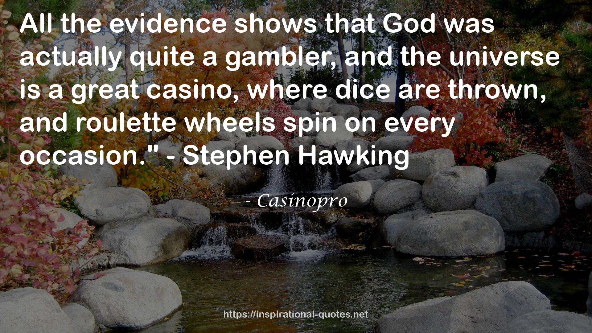 Casinopro QUOTES