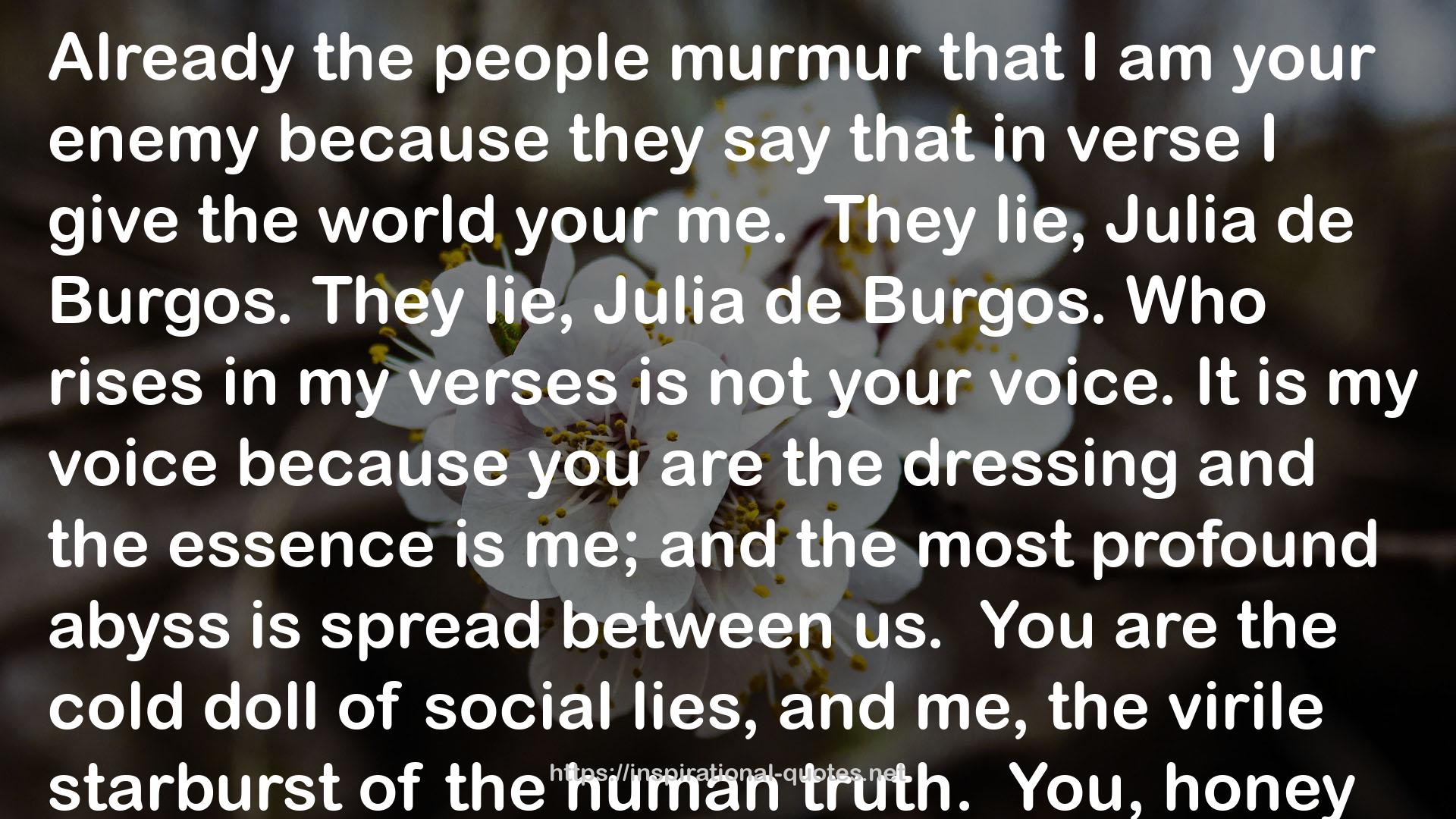 Julia de Burgos Jack Agüero Translator QUOTES