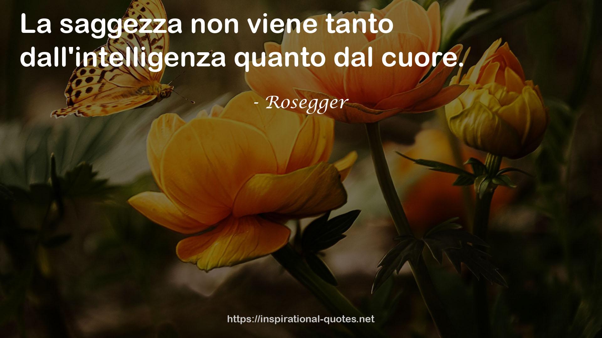 Rosegger QUOTES