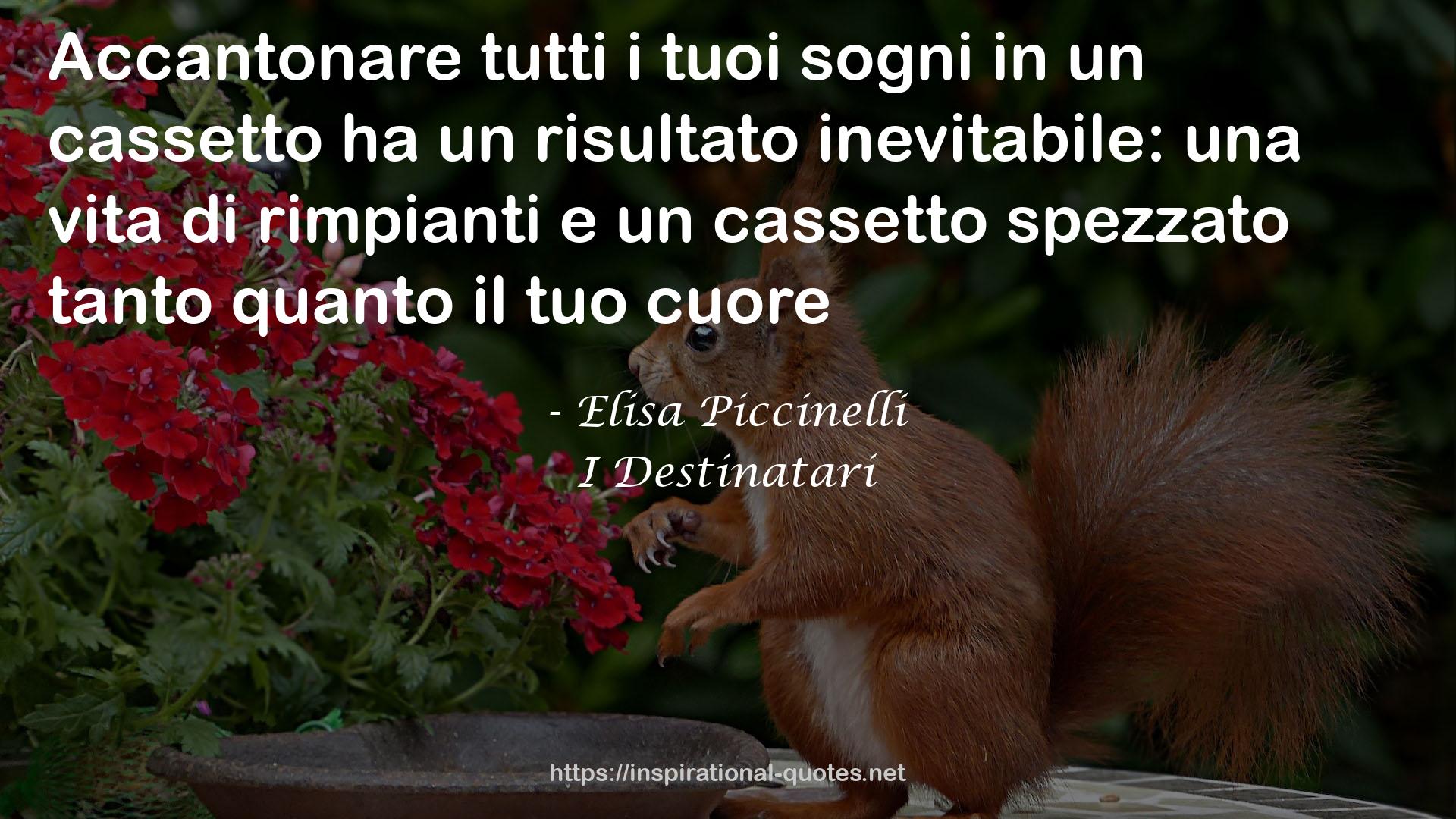 Elisa Piccinelli QUOTES