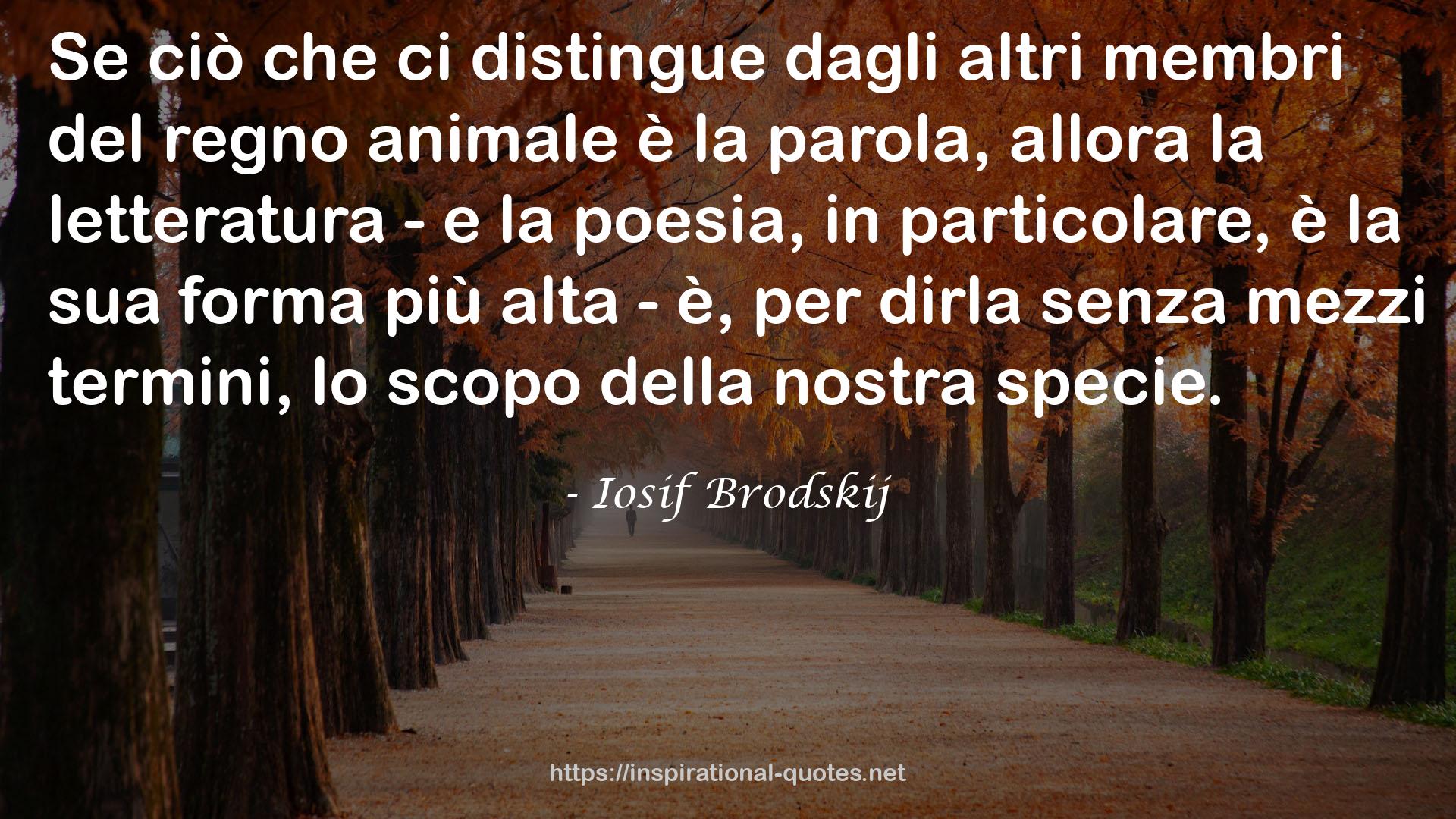 Iosif Brodskij QUOTES