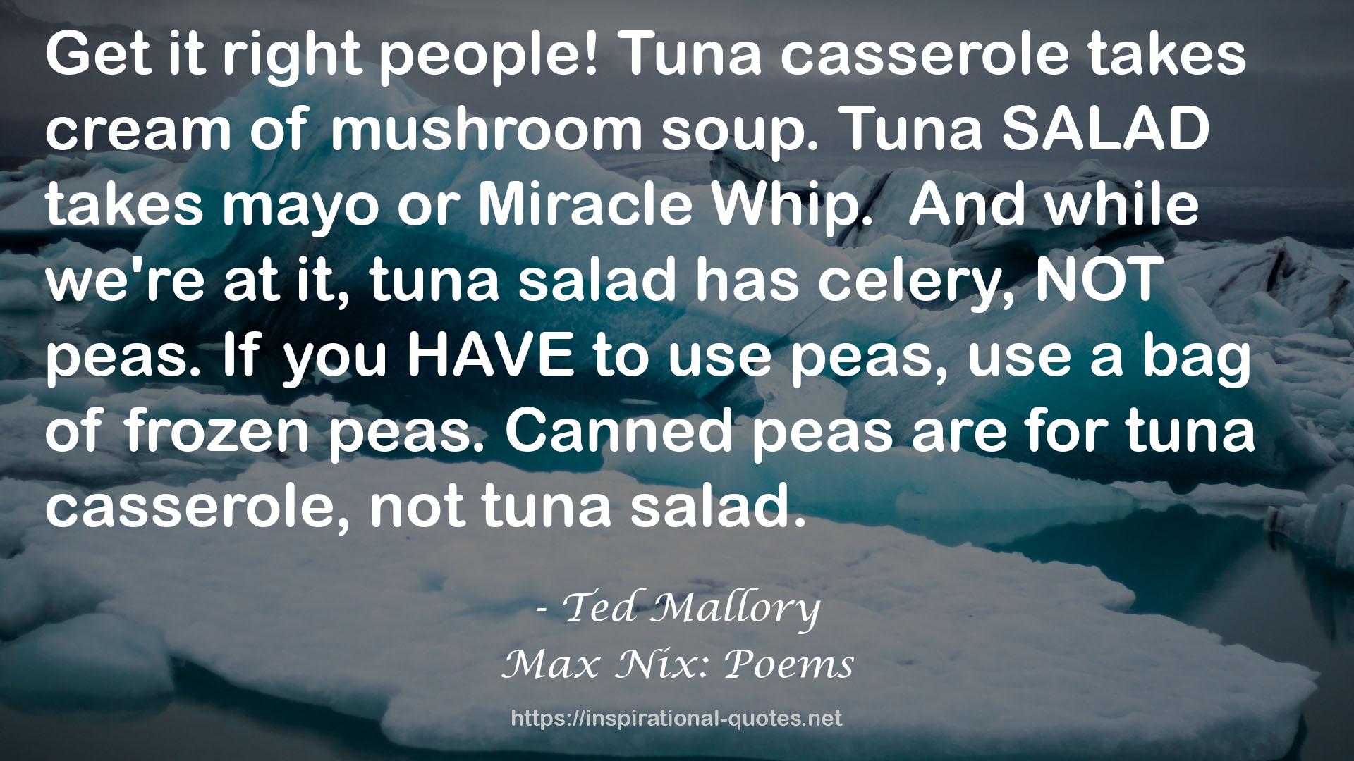 Max Nix: Poems QUOTES