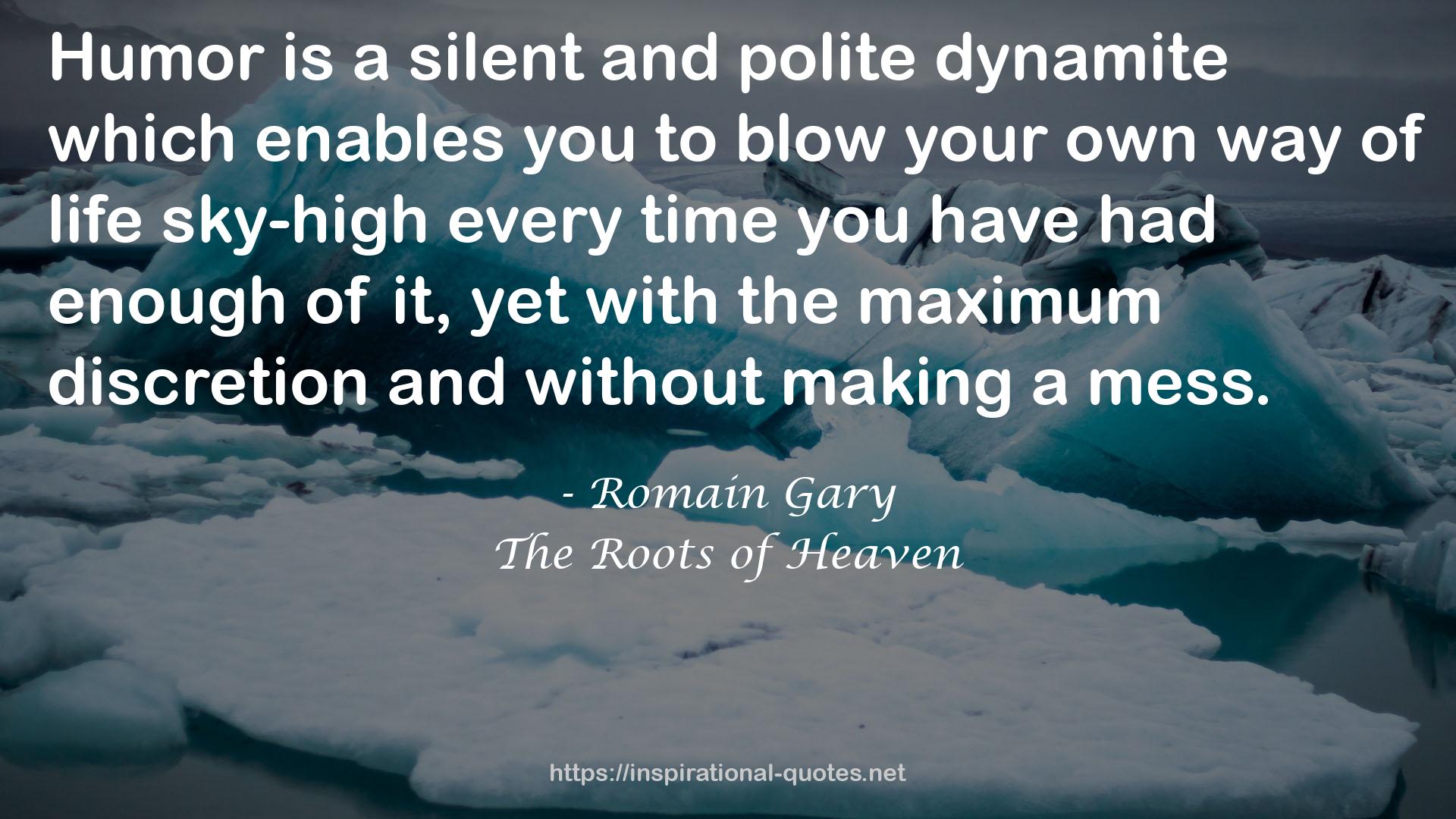 Romain Gary QUOTES