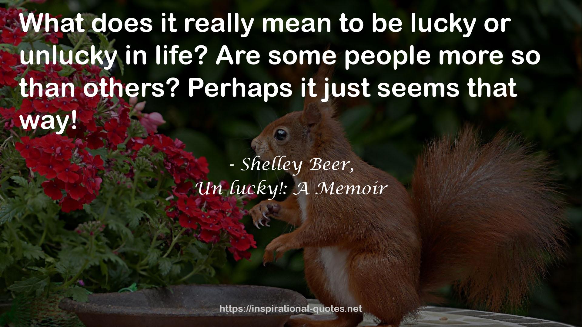 Shelley Beer, QUOTES