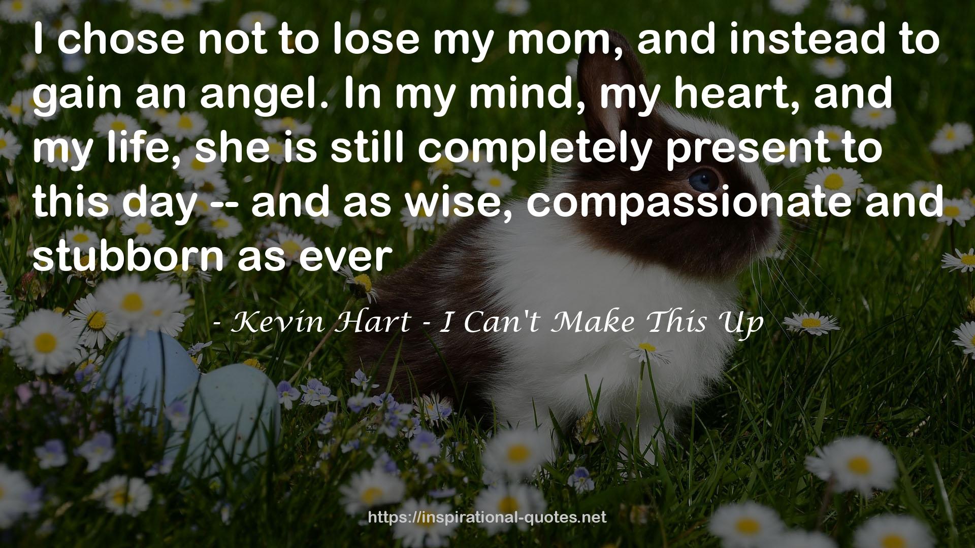 Kevin Hart - I Can't Make This Up QUOTES