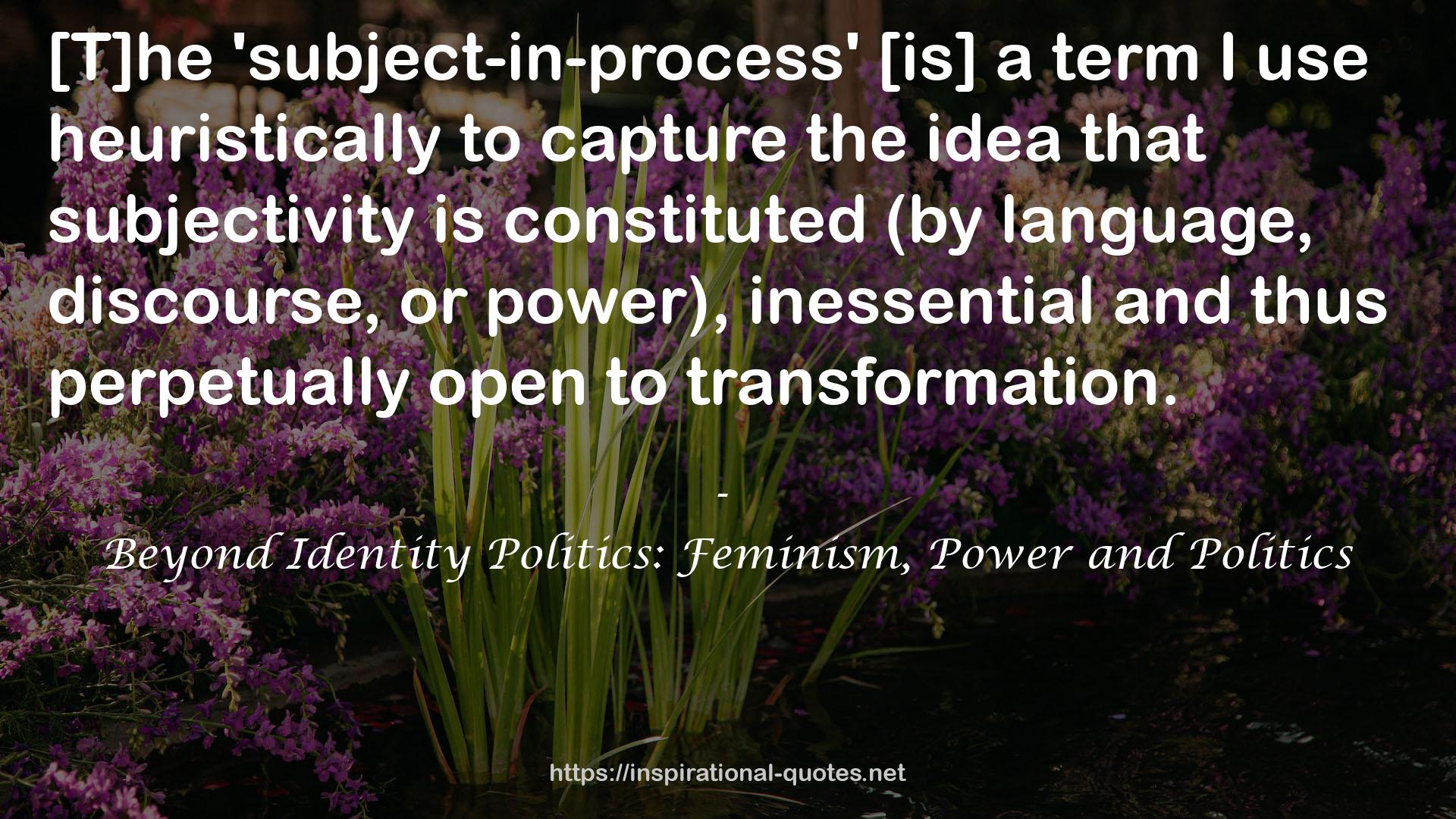 Beyond Identity Politics: Feminism, Power and Politics QUOTES