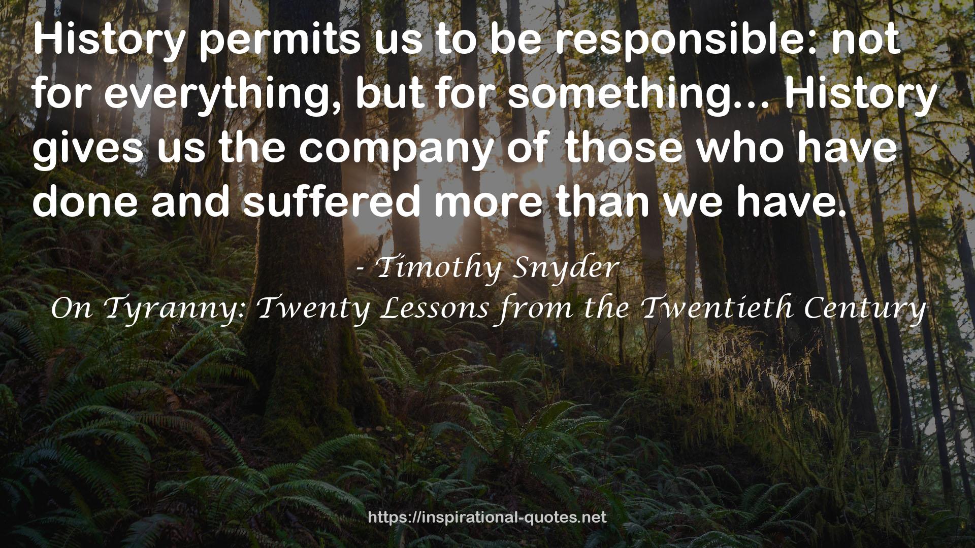 Timothy Snyder QUOTES