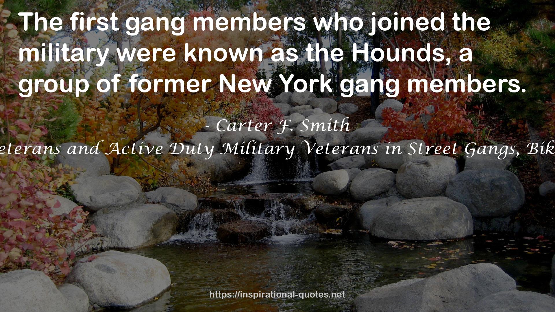 Gangs and the United States Military: Veterans and Active Duty Military Veterans in Street Gangs, Biker Gangs, and Domestic Terrorist Groups QUOTES