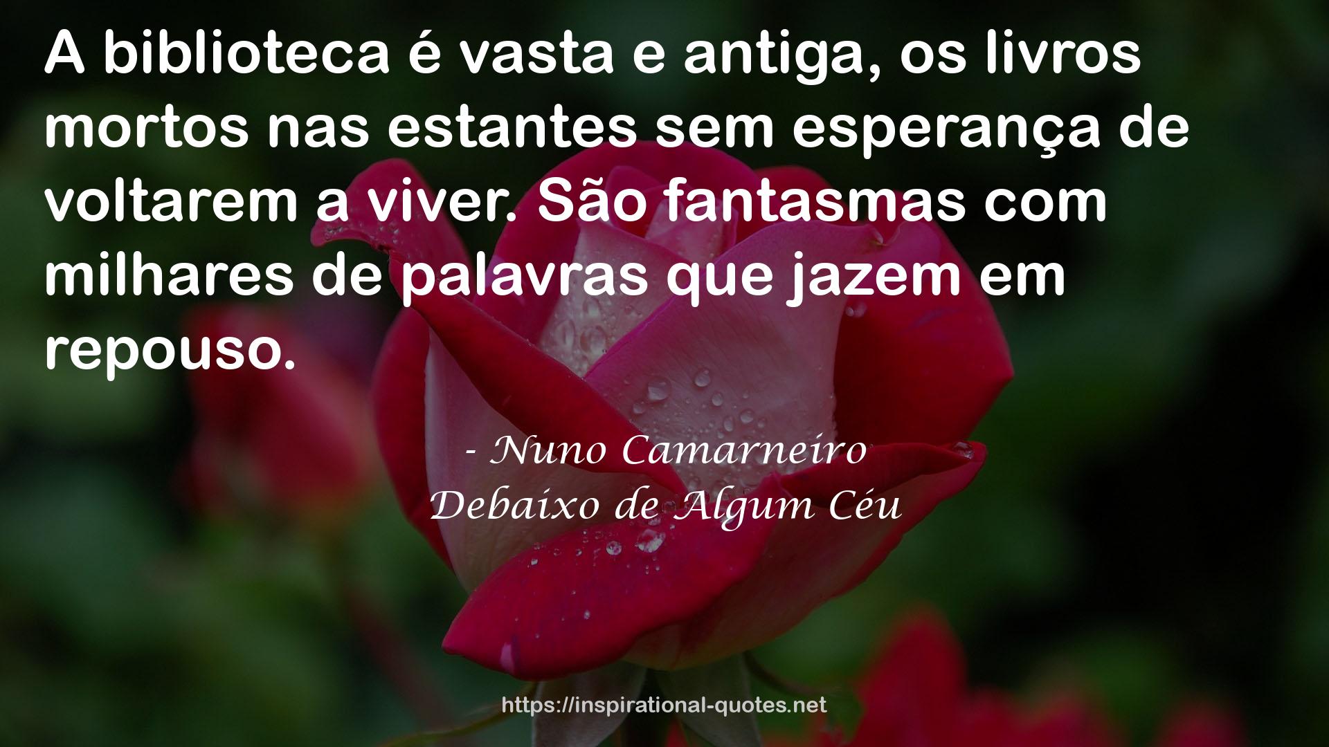 Debaixo de Algum Céu QUOTES