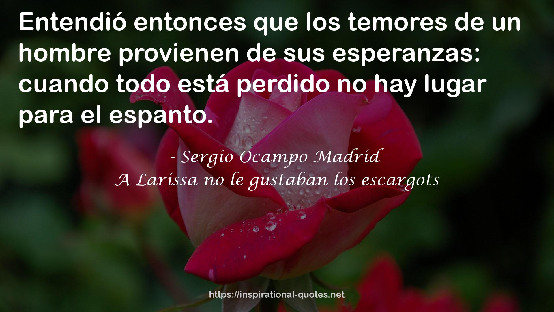 Sergio Ocampo Madrid QUOTES