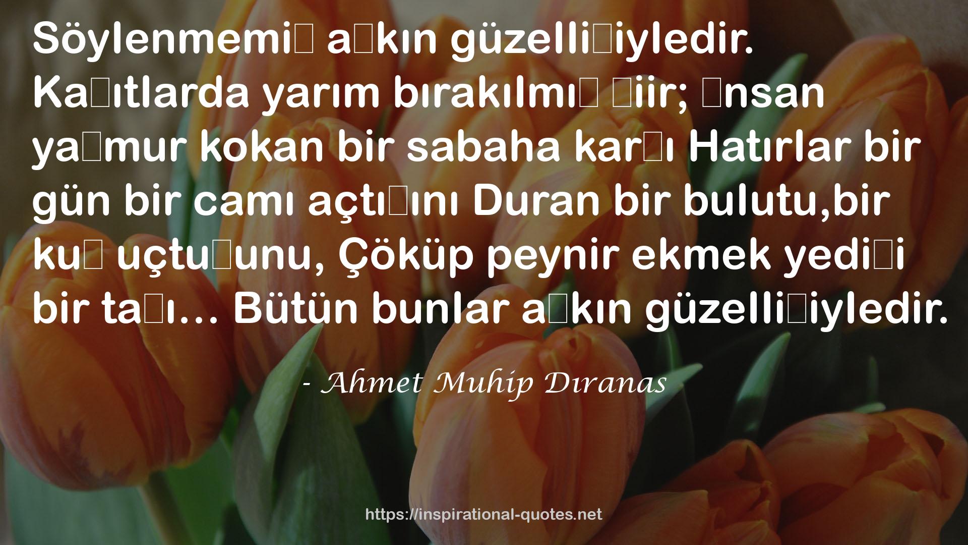 Ahmet Muhip Dıranas QUOTES