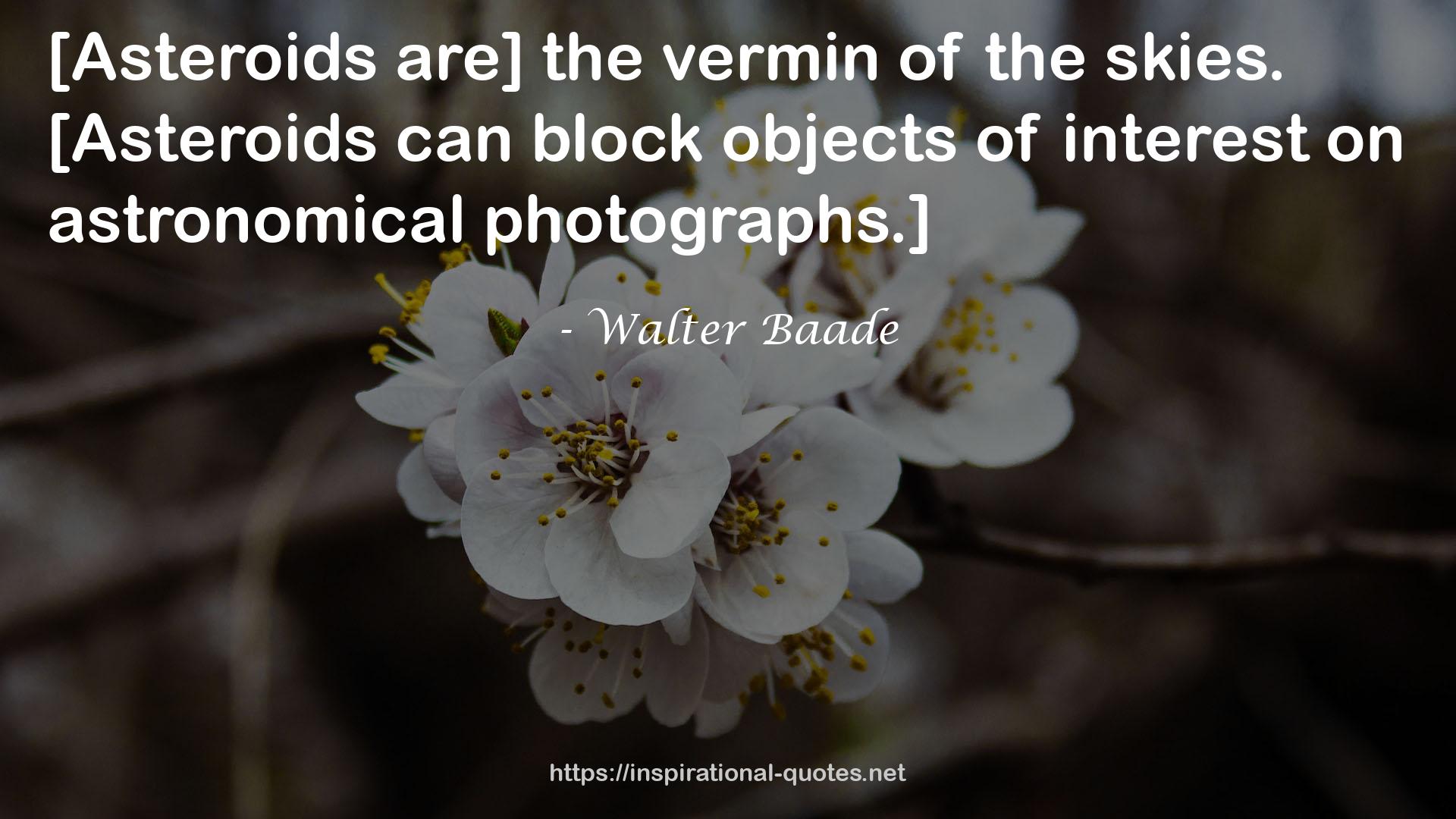 Walter Baade QUOTES