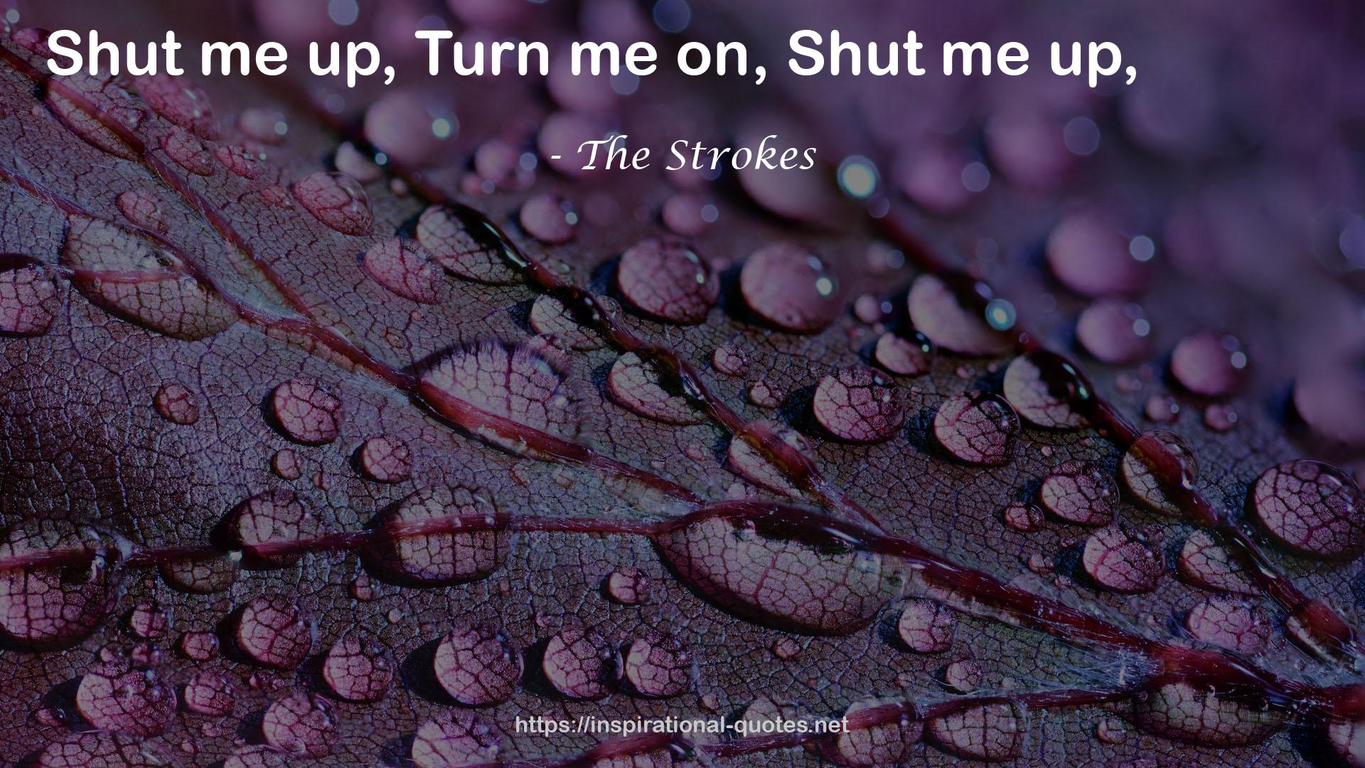 The Strokes QUOTES