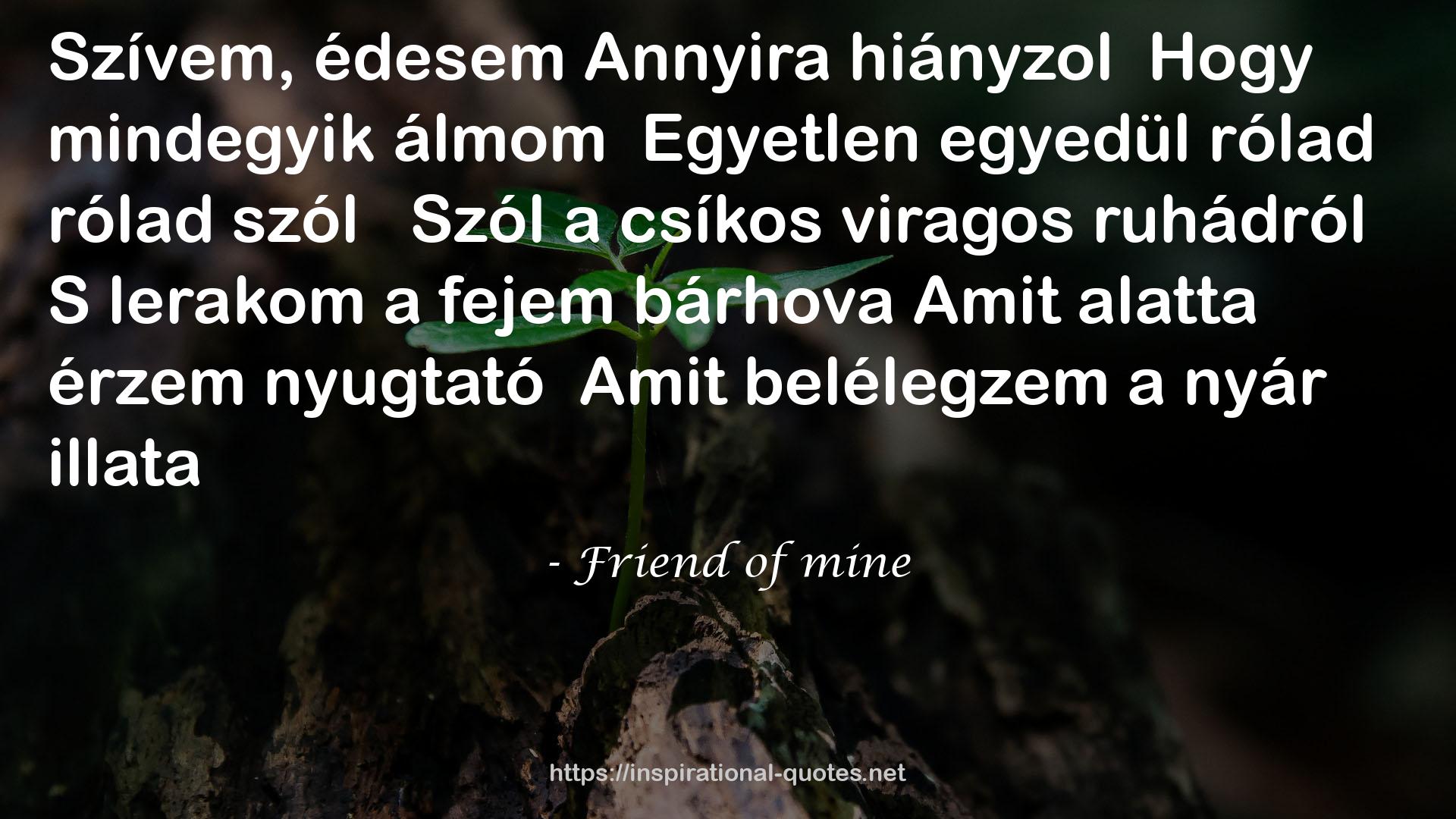 Friend of mine QUOTES