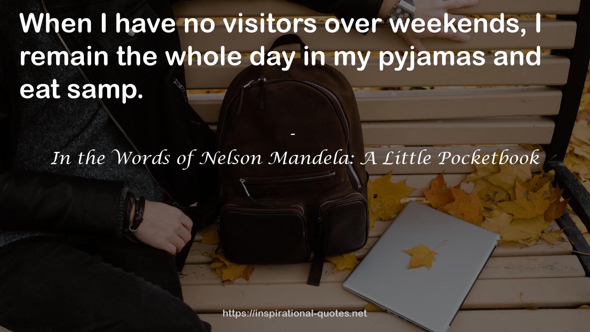 In the Words of Nelson Mandela: A Little Pocketbook QUOTES