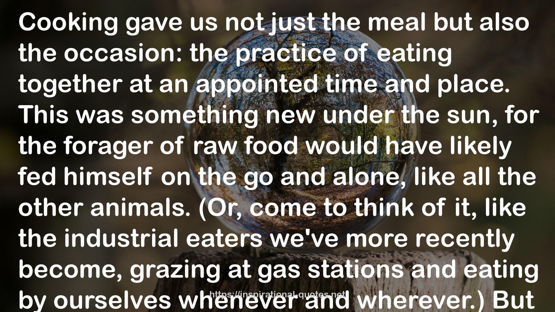 raw food  QUOTES