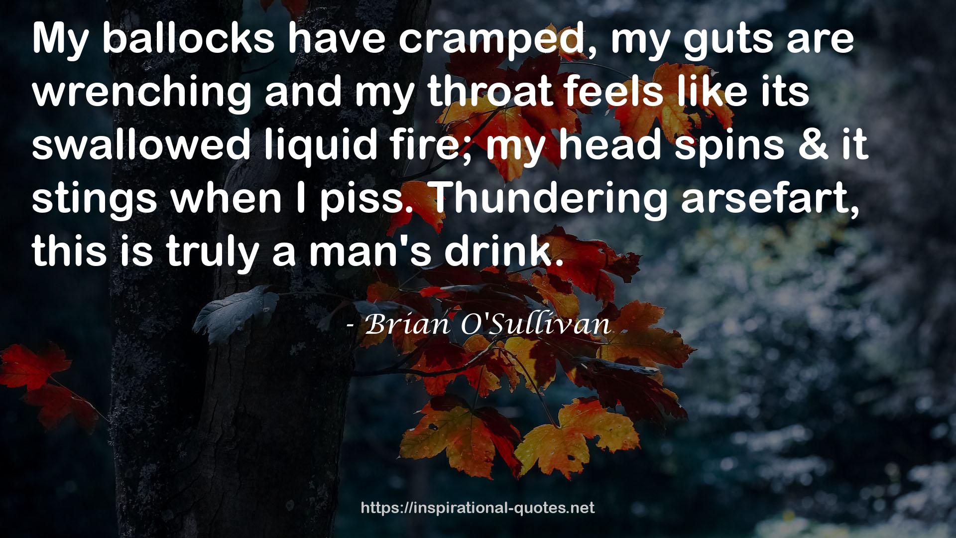 Brian O'Sullivan QUOTES