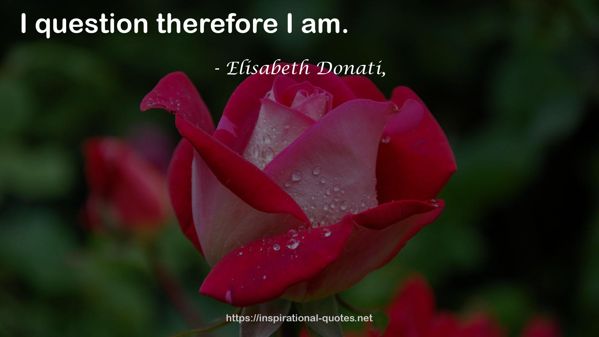 Elisabeth Donati, QUOTES