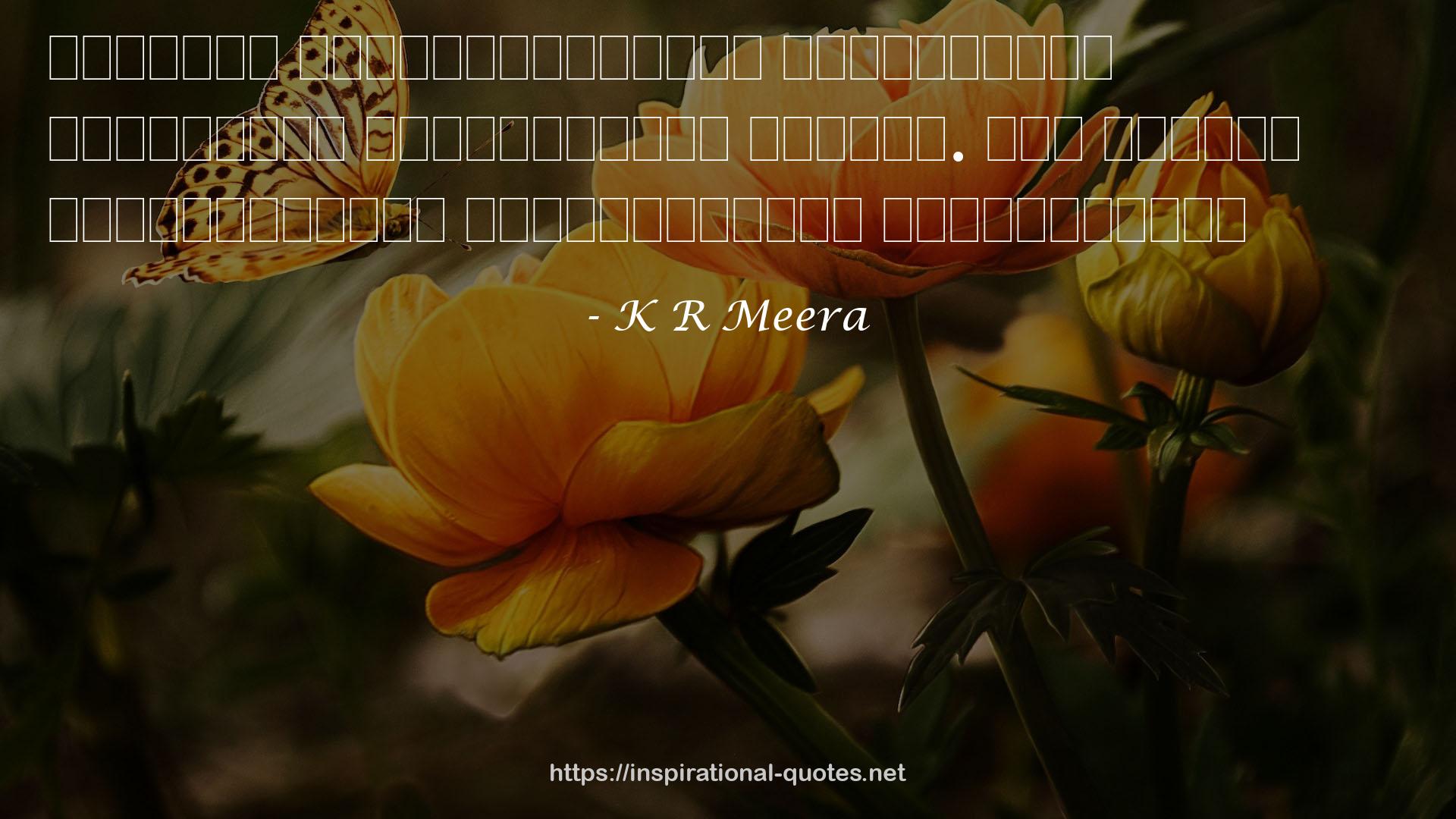 K R Meera QUOTES