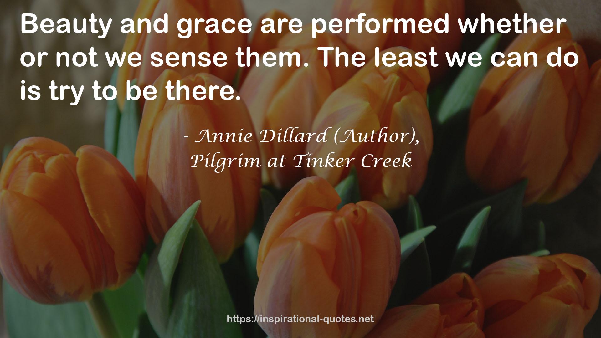 Annie Dillard (Author), QUOTES