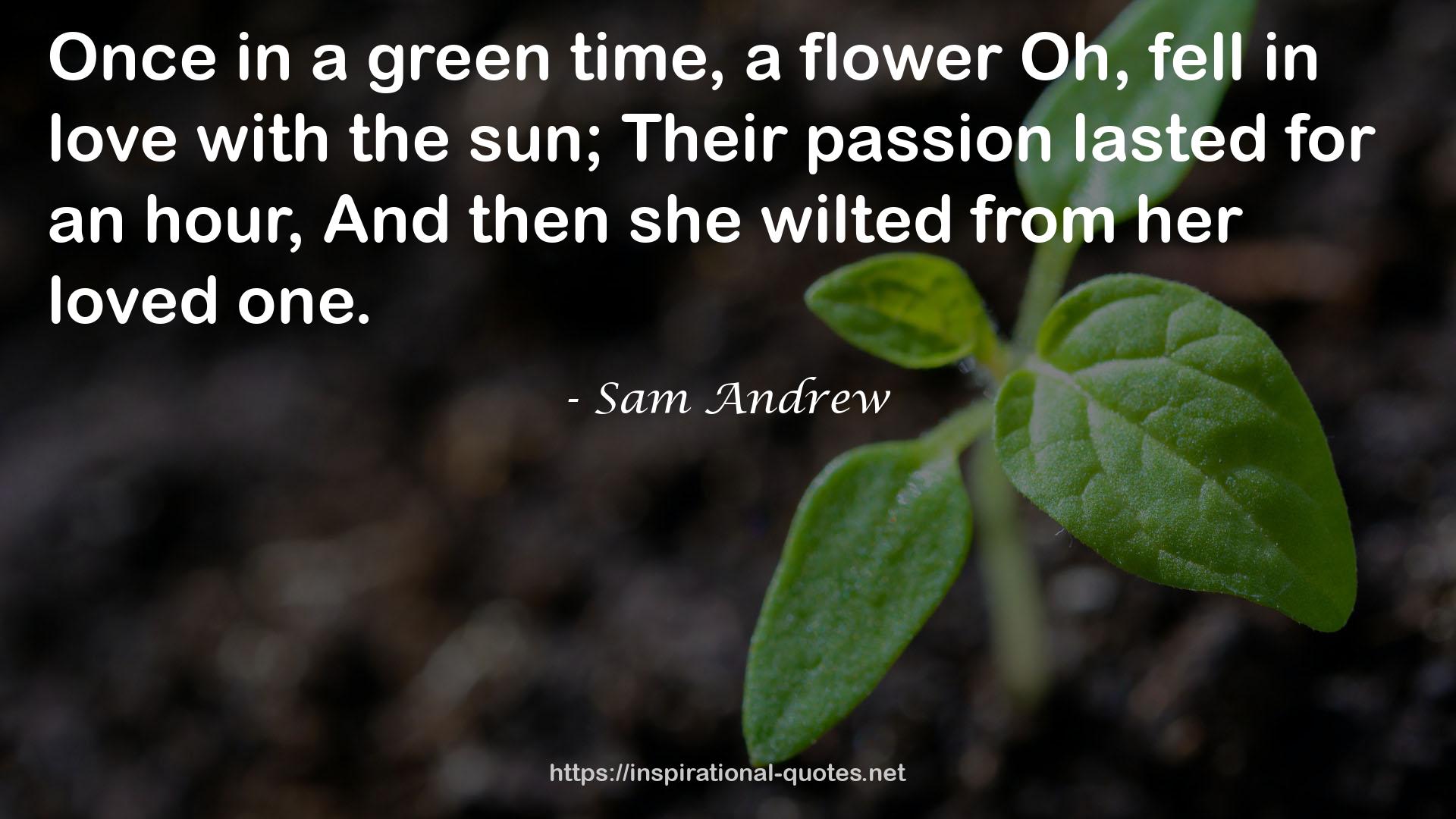 Sam Andrew QUOTES