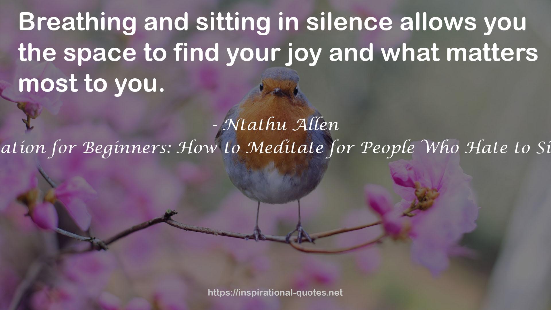 Meditation for Beginners: How to Meditate for People Who Hate to Sit Still QUOTES