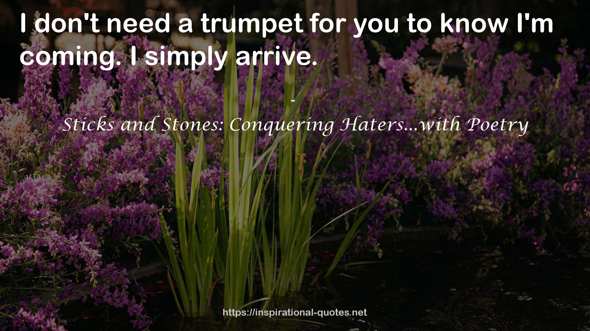 Sticks and Stones: Conquering Haters...with Poetry QUOTES