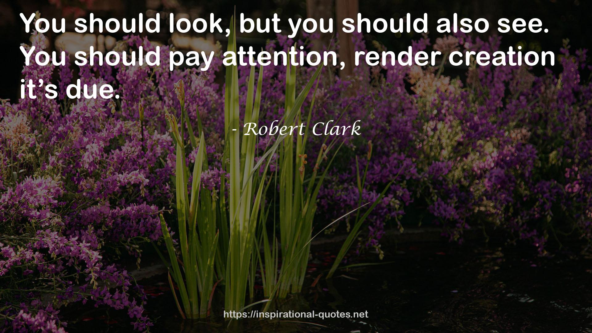 Robert Clark QUOTES