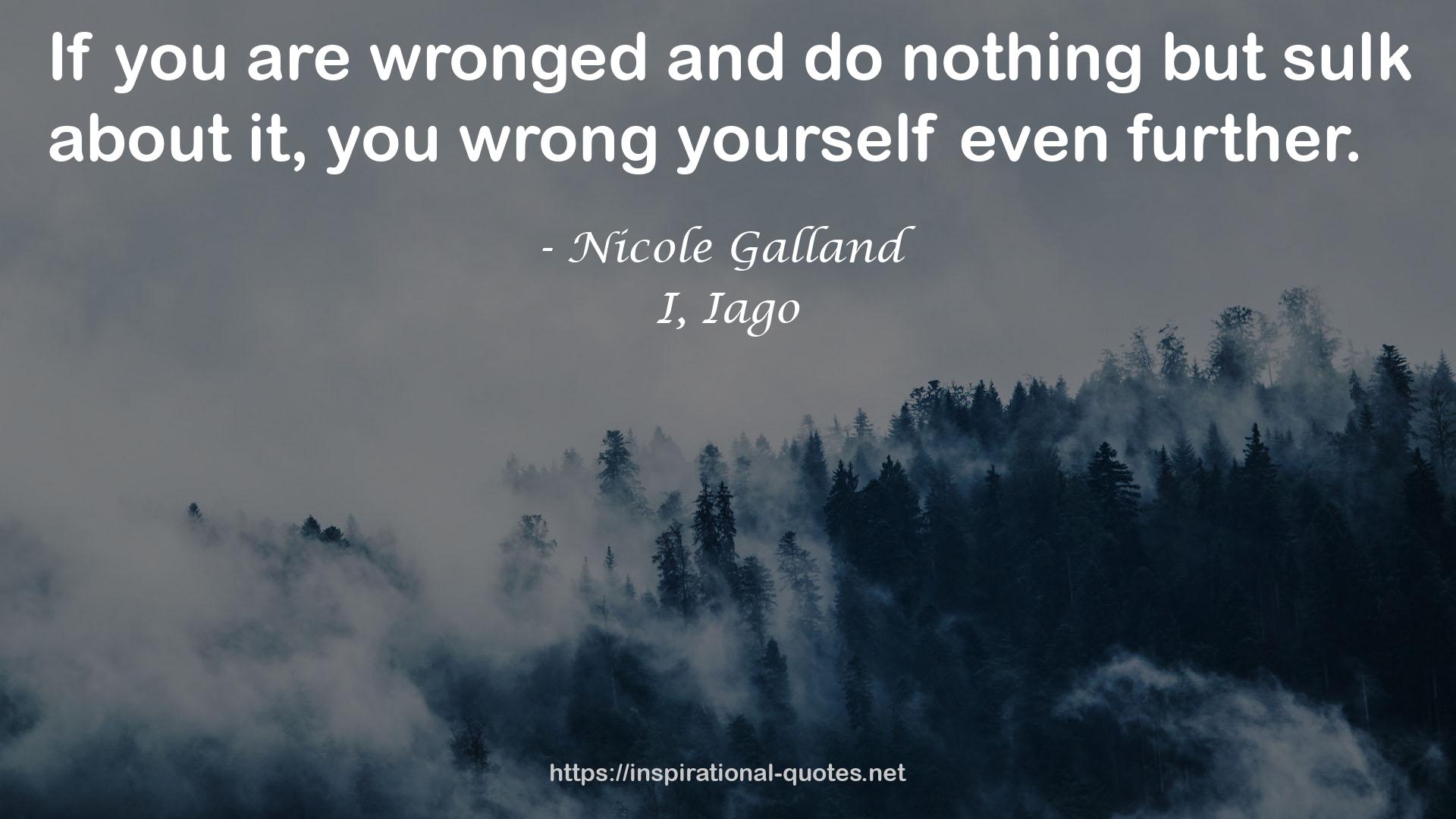 Nicole Galland QUOTES