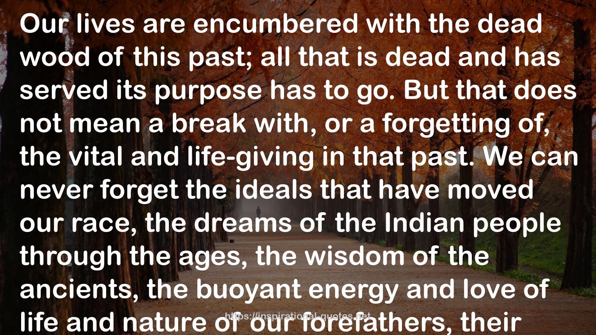The Discovery of India QUOTES