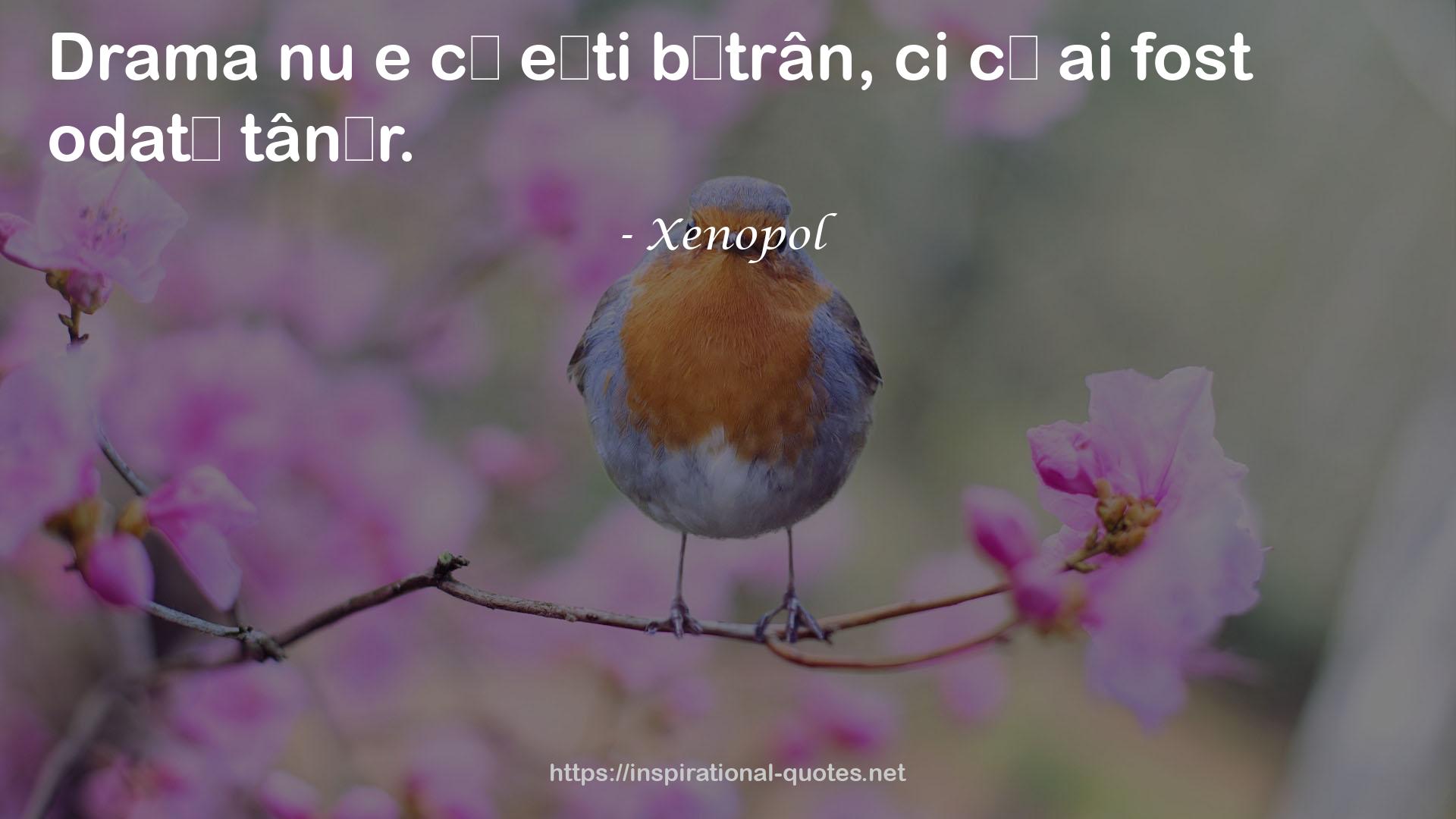 Xenopol QUOTES