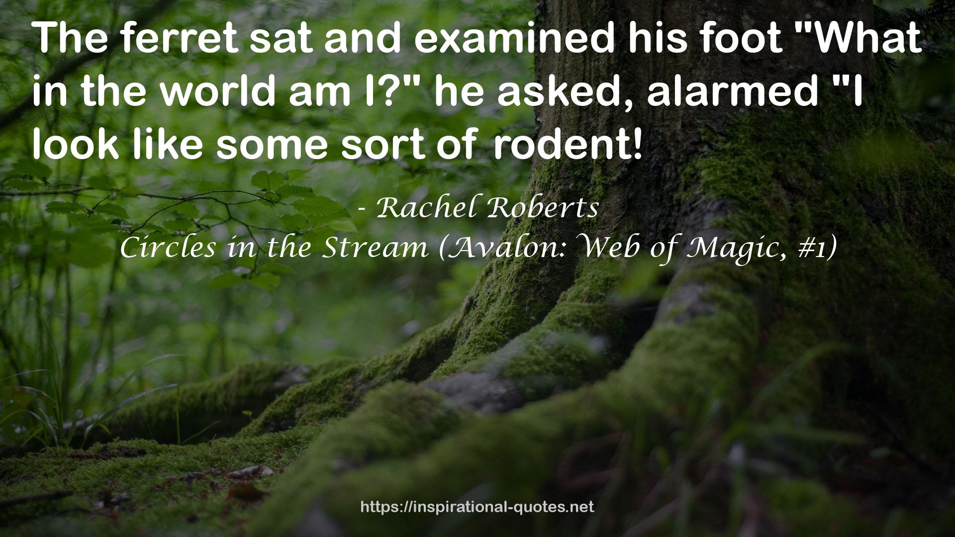 Circles in the Stream (Avalon: Web of Magic, #1) QUOTES