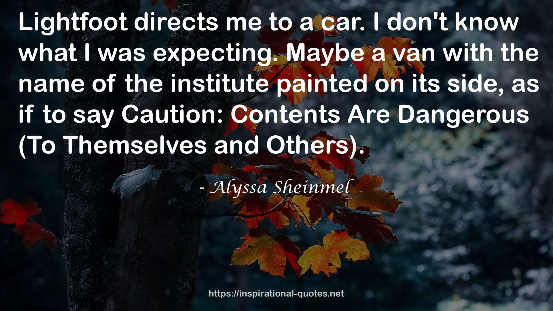 Alyssa Sheinmel QUOTES