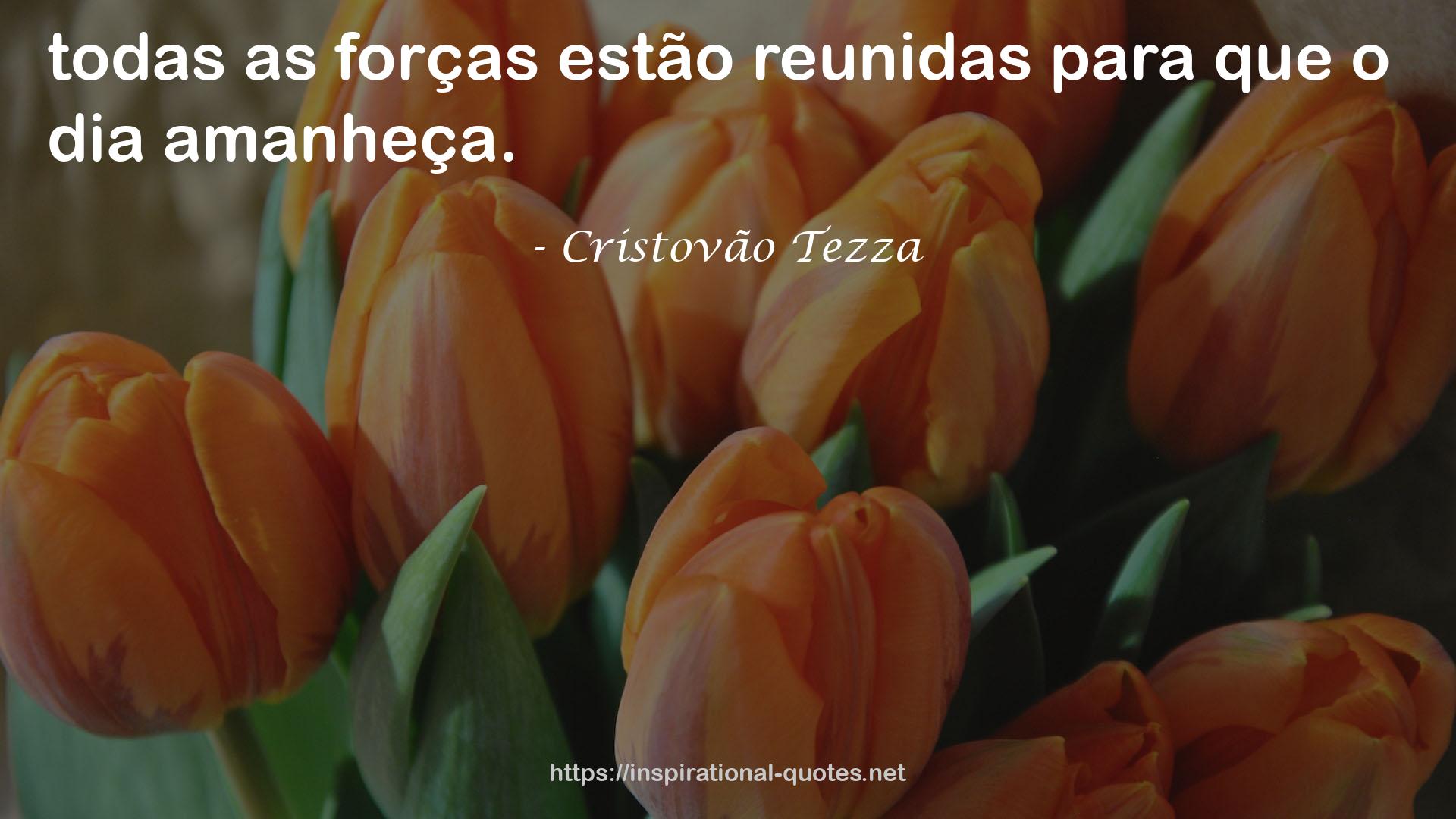 Cristovão Tezza QUOTES