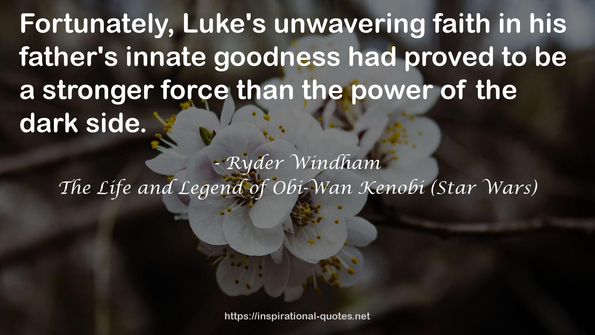Ryder Windham QUOTES