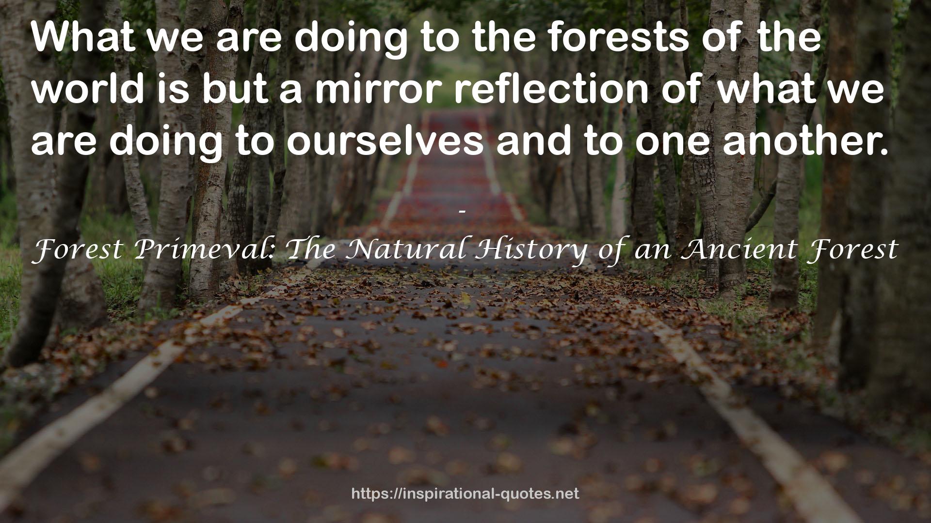 Forest Primeval: The Natural History of an Ancient Forest QUOTES