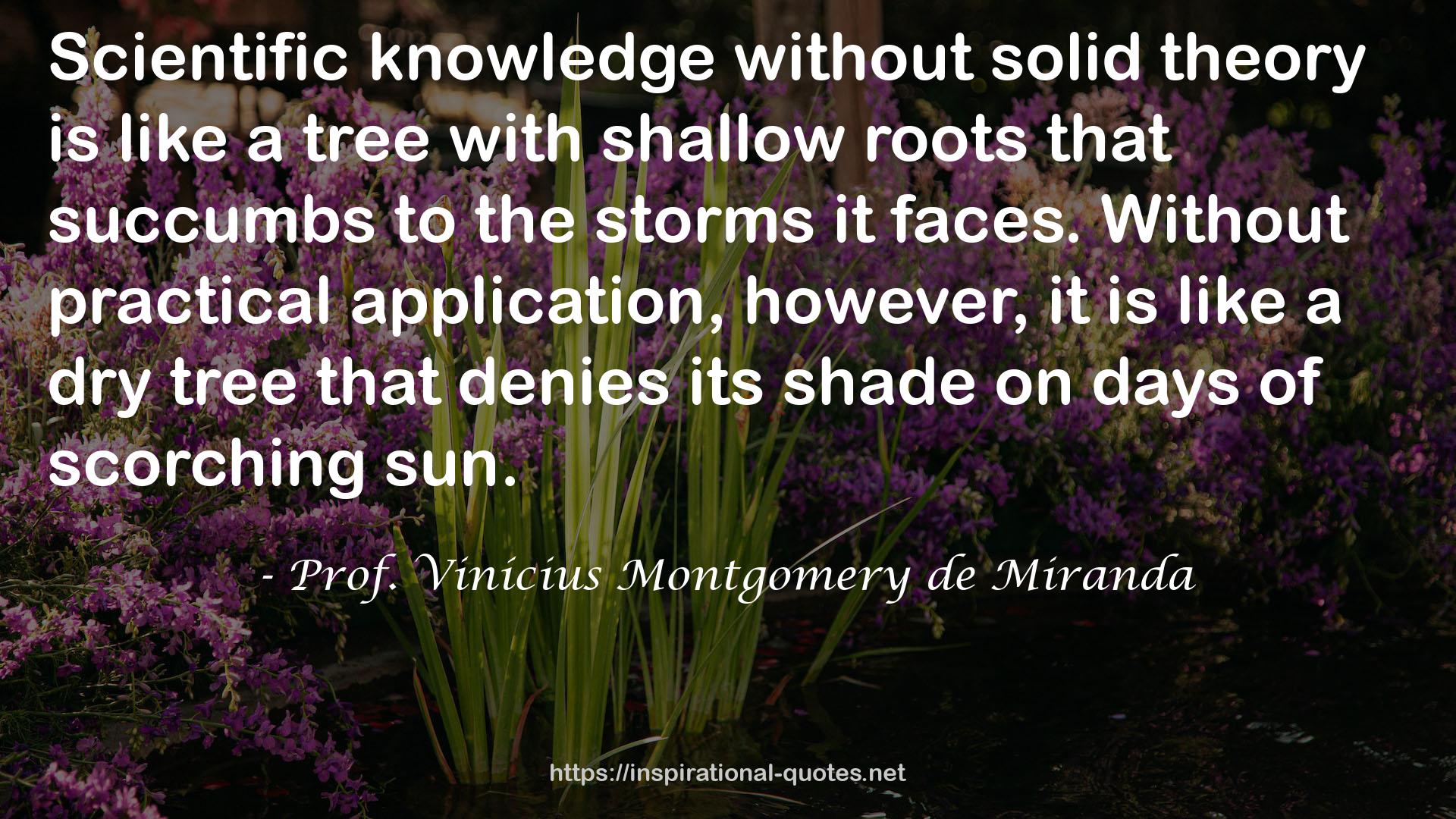 Prof. Vinícius Montgomery de Miranda QUOTES