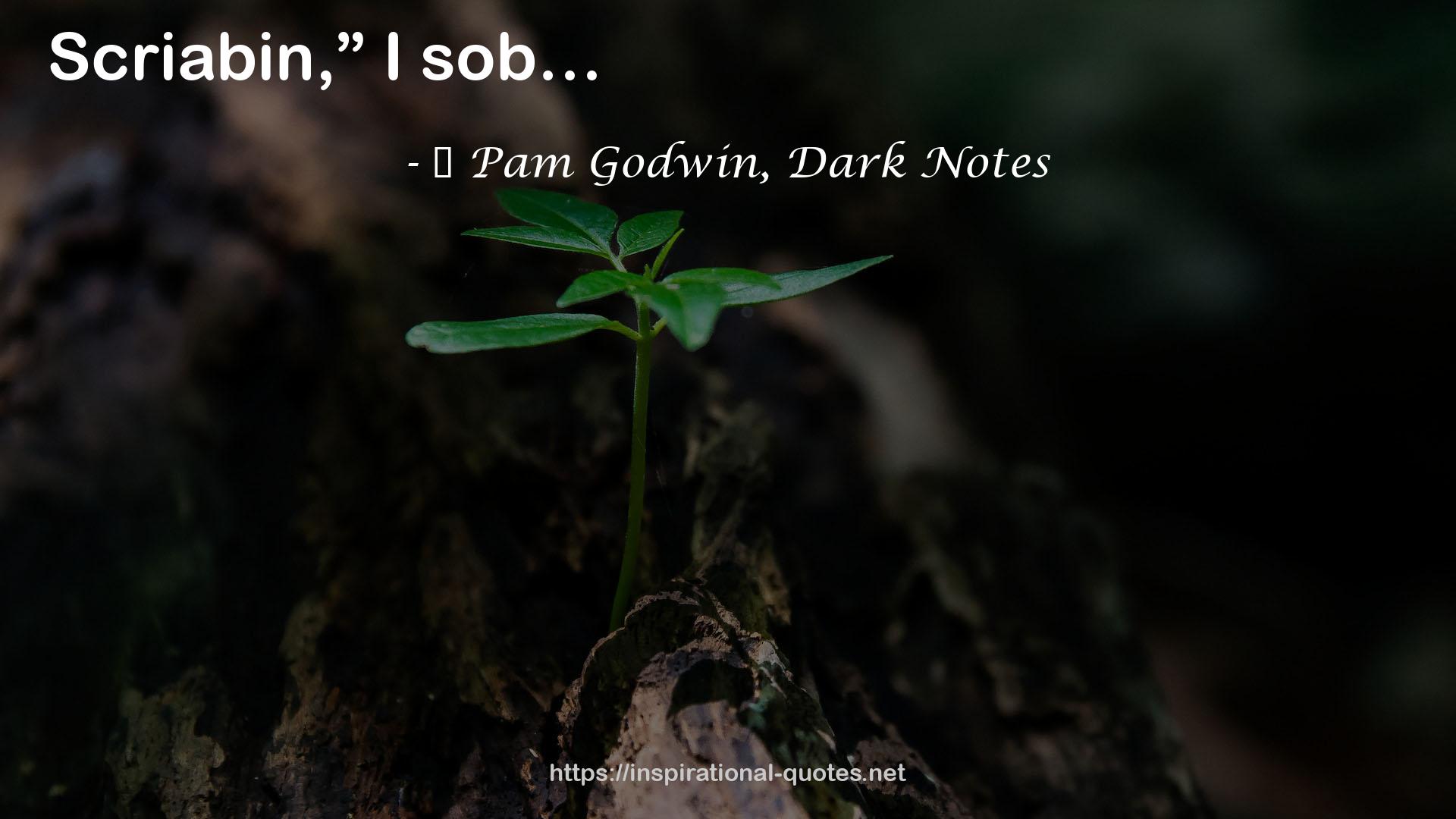 ― Pam Godwin, Dark Notes QUOTES