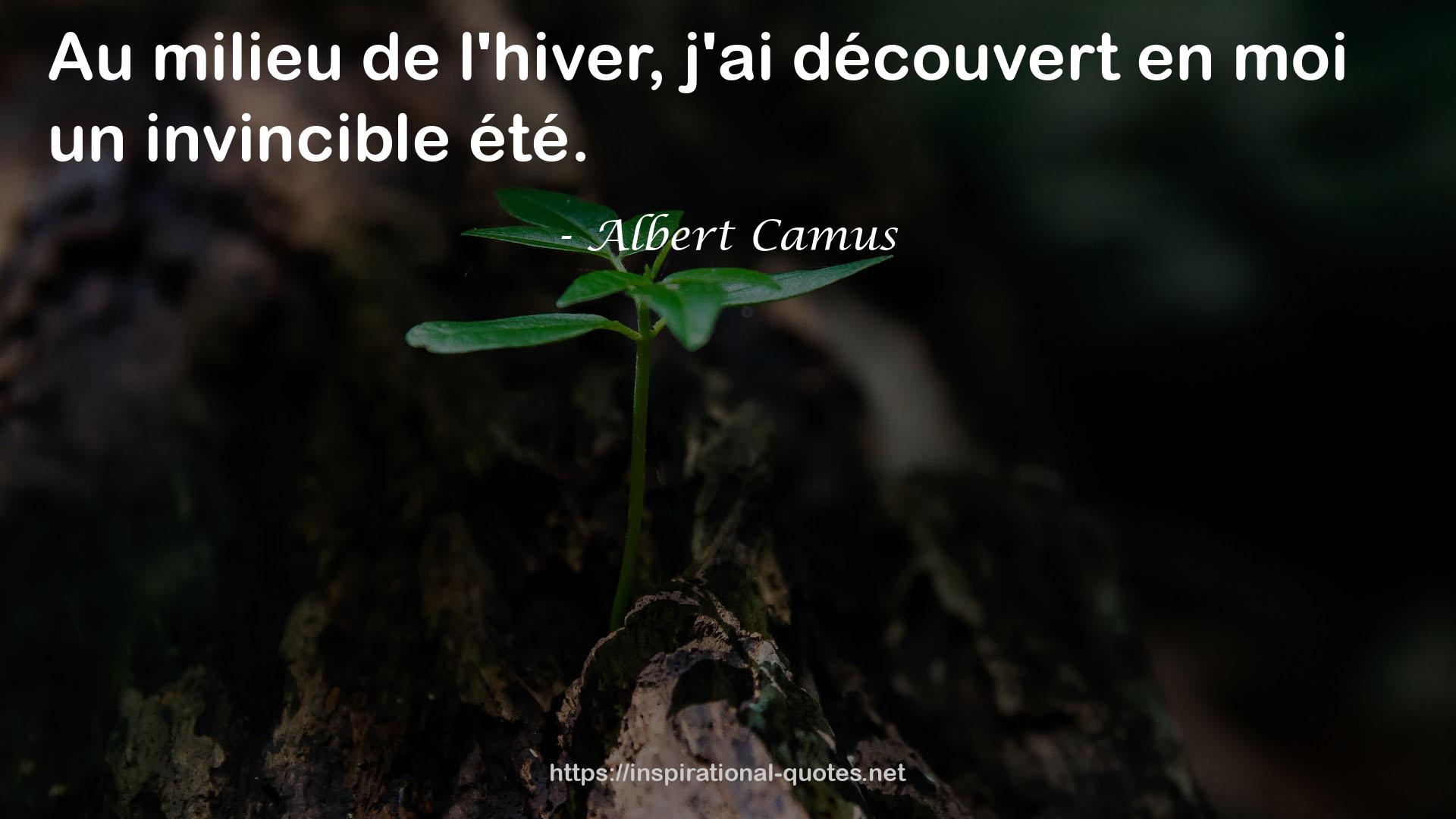 milieu  QUOTES