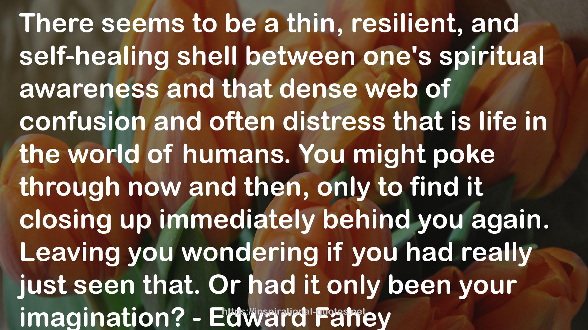 Edward Fahey QUOTES