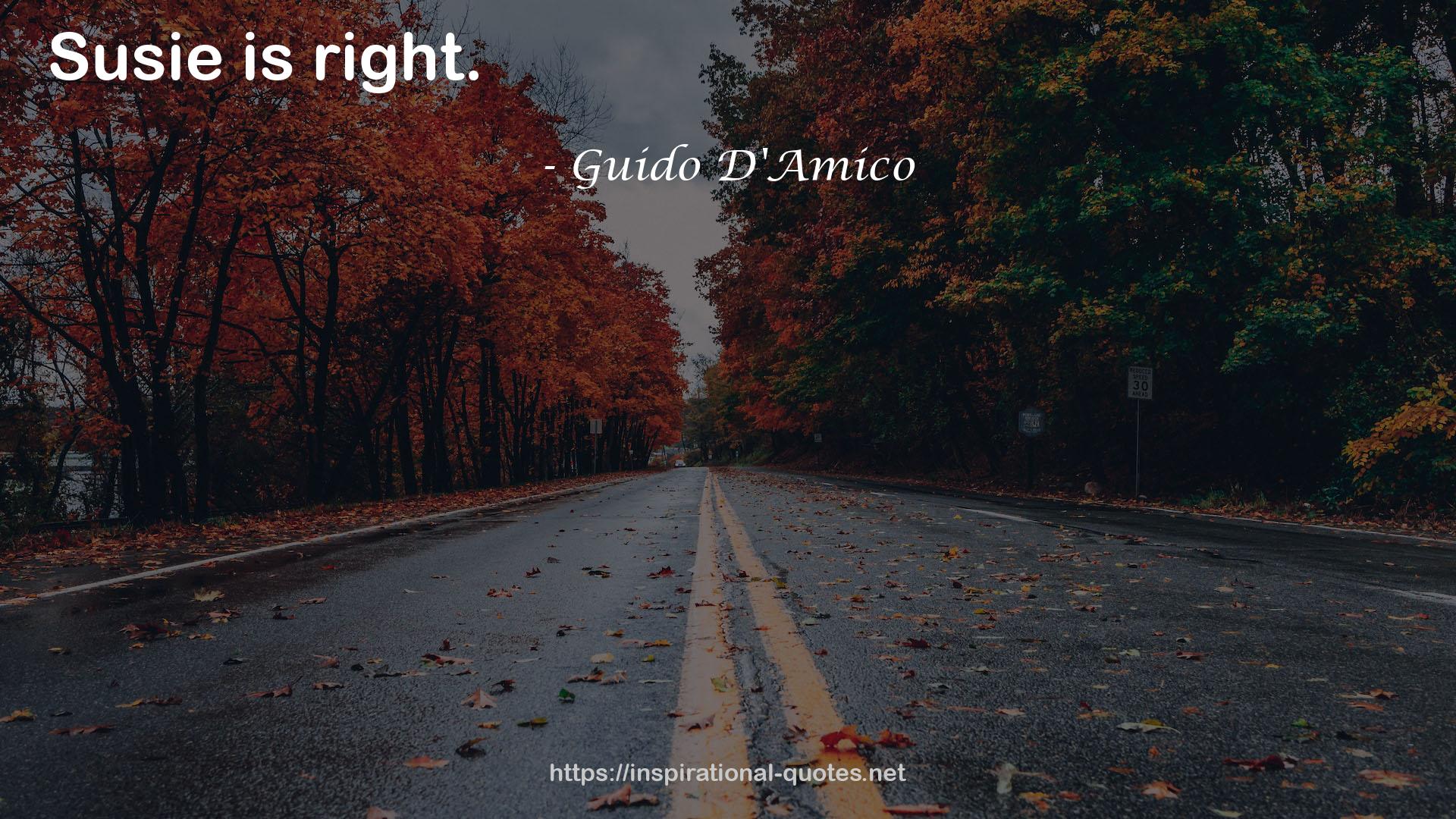 Guido D'Amico QUOTES